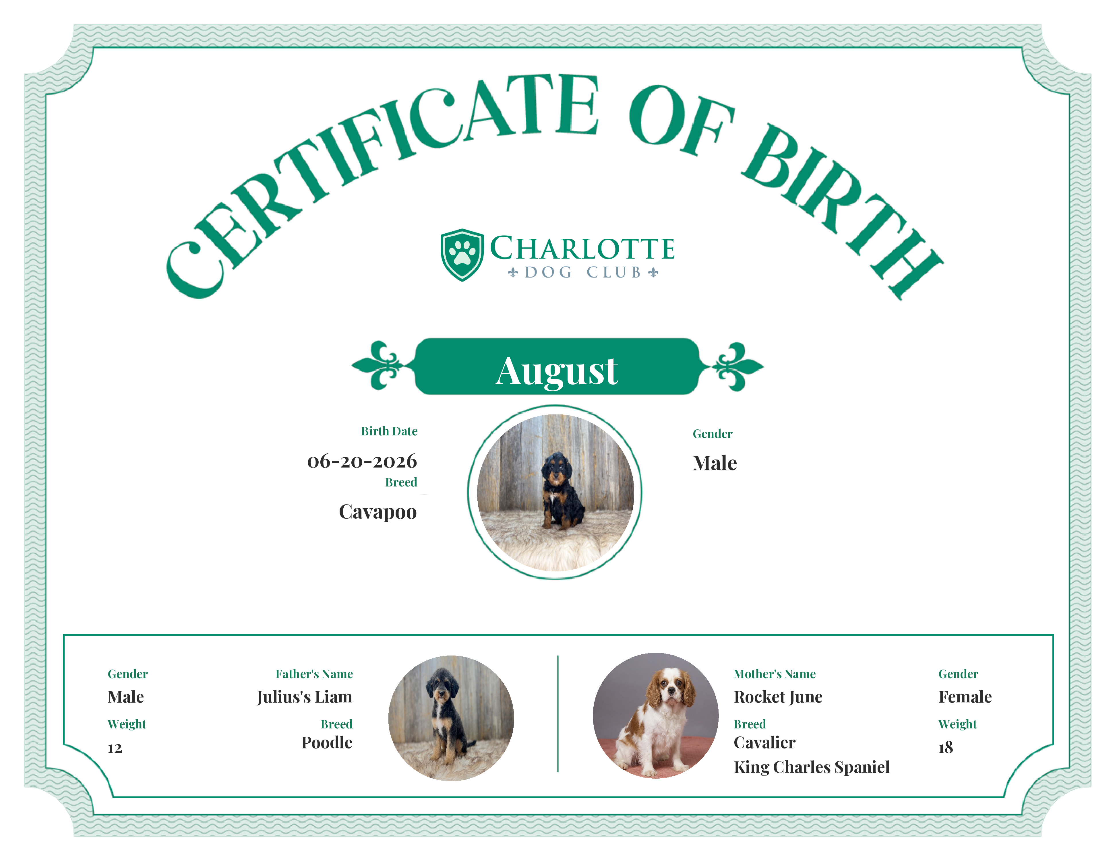 August's Birth Certificate