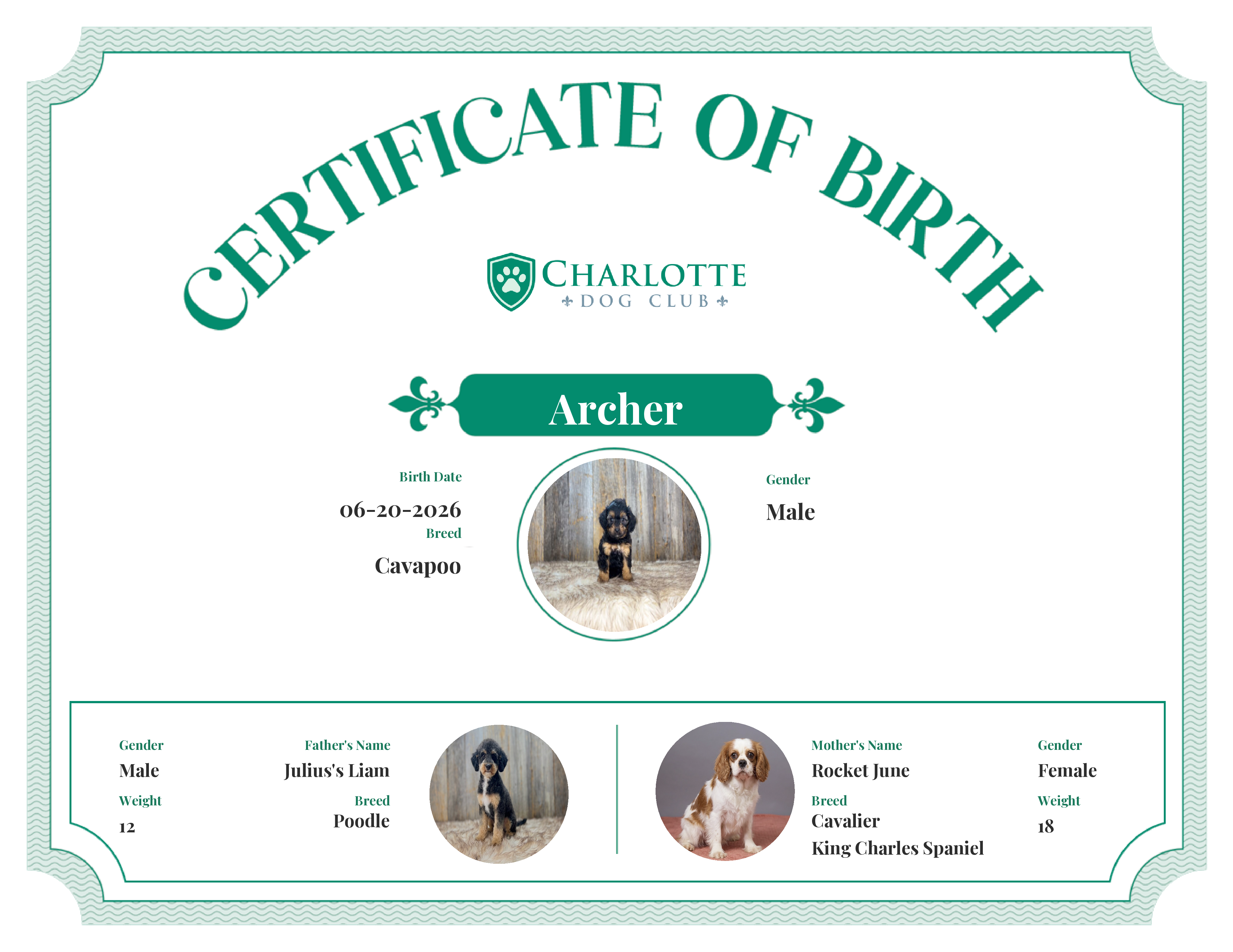 Archer's Birth Certificate