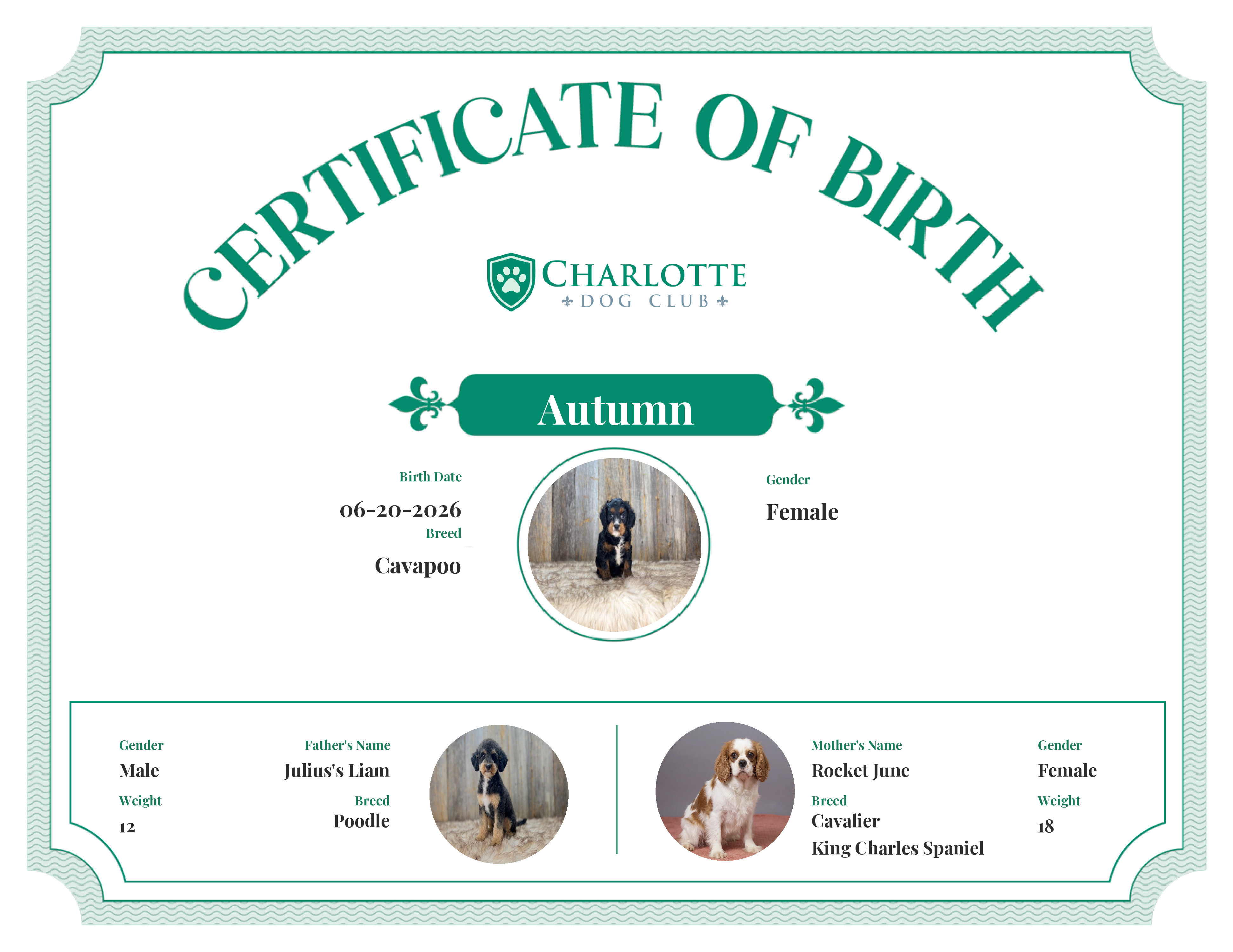 Autumn's Birth Certificate