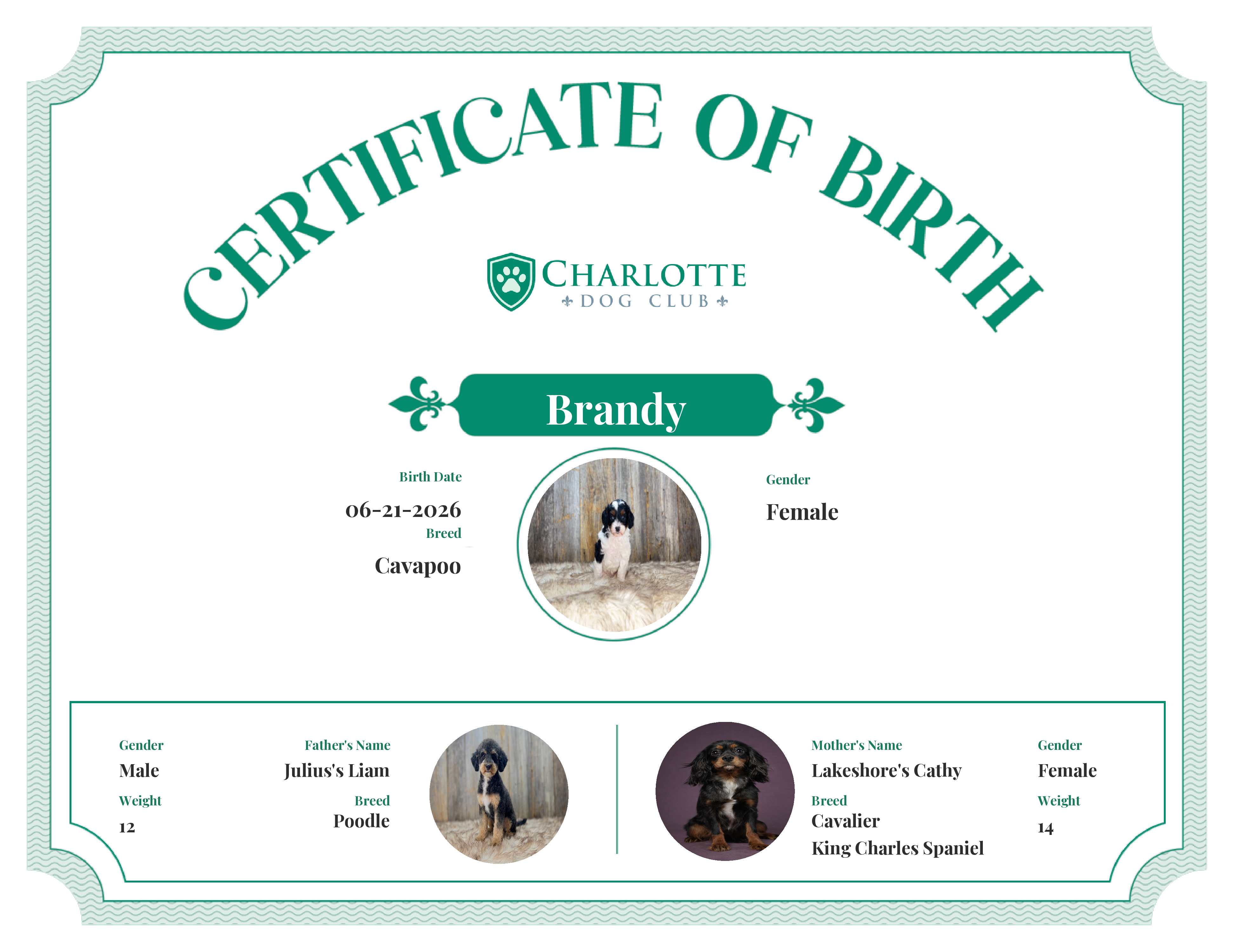 Brandy's Birth Certificate