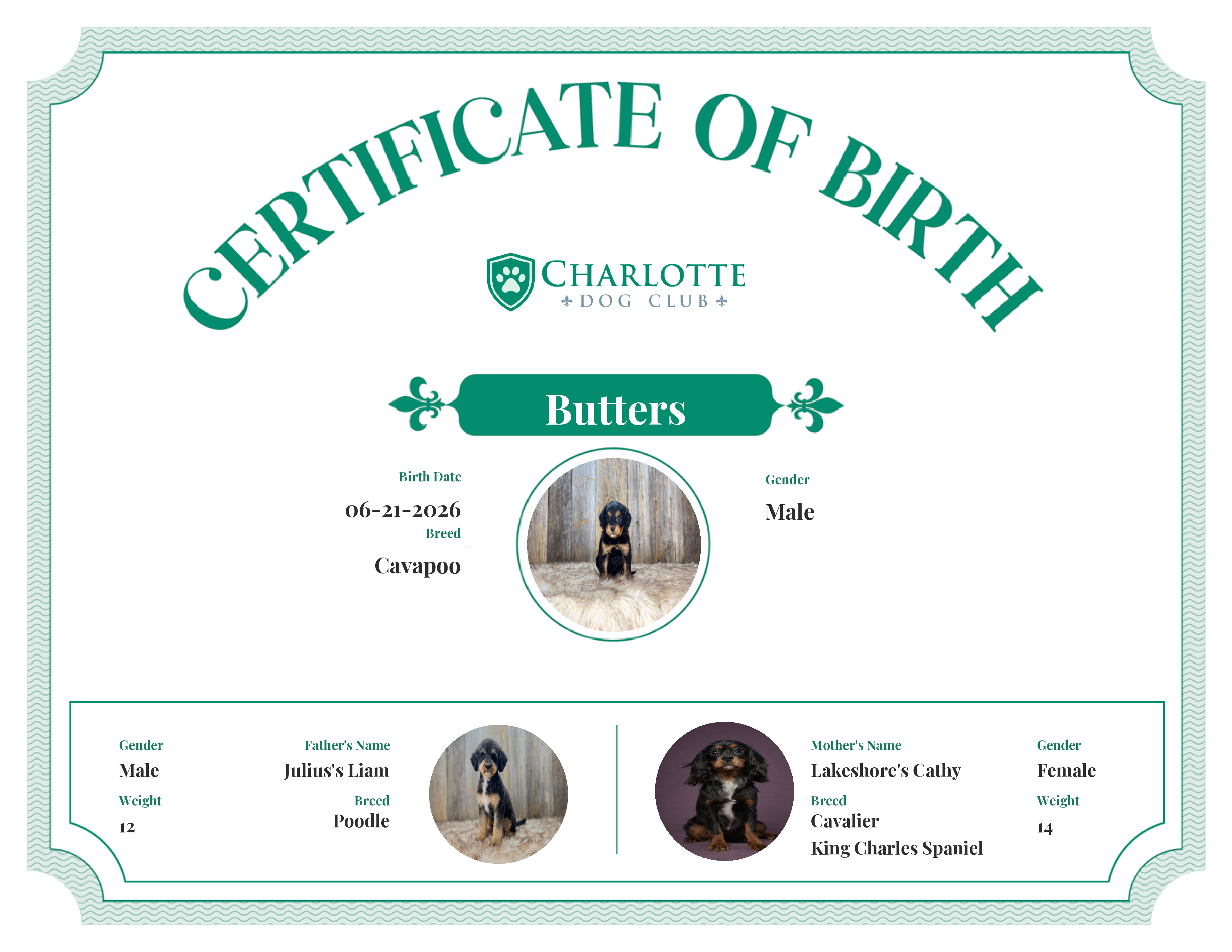 Butters's Birth Certificate