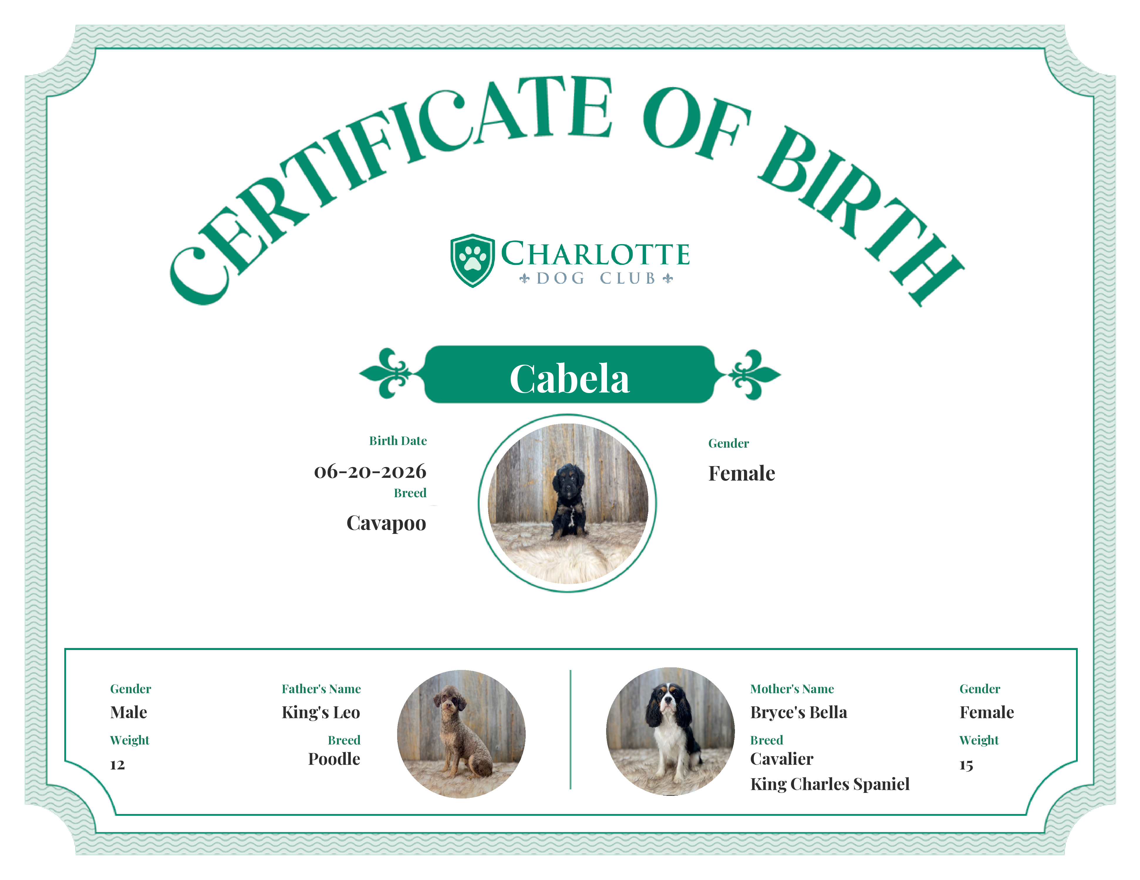Cabela's Birth Certificate