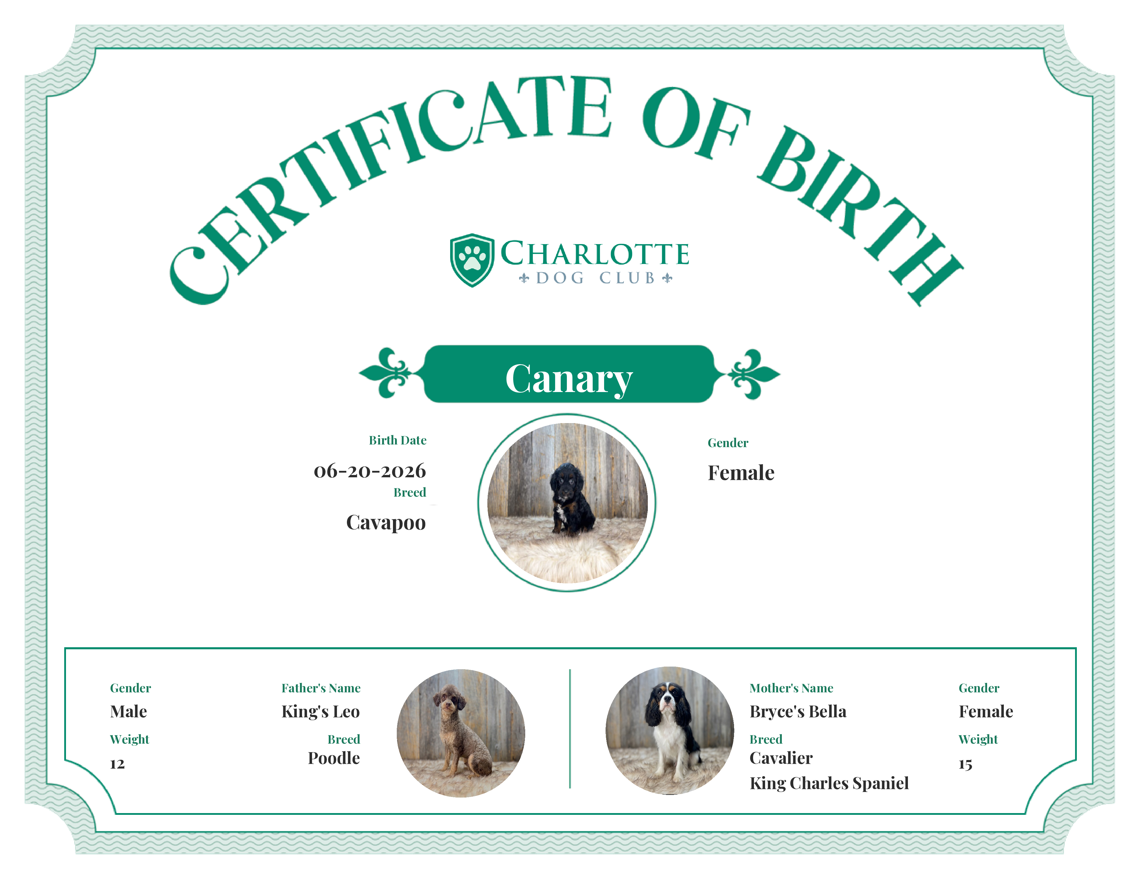 Canary's Birth Certificate
