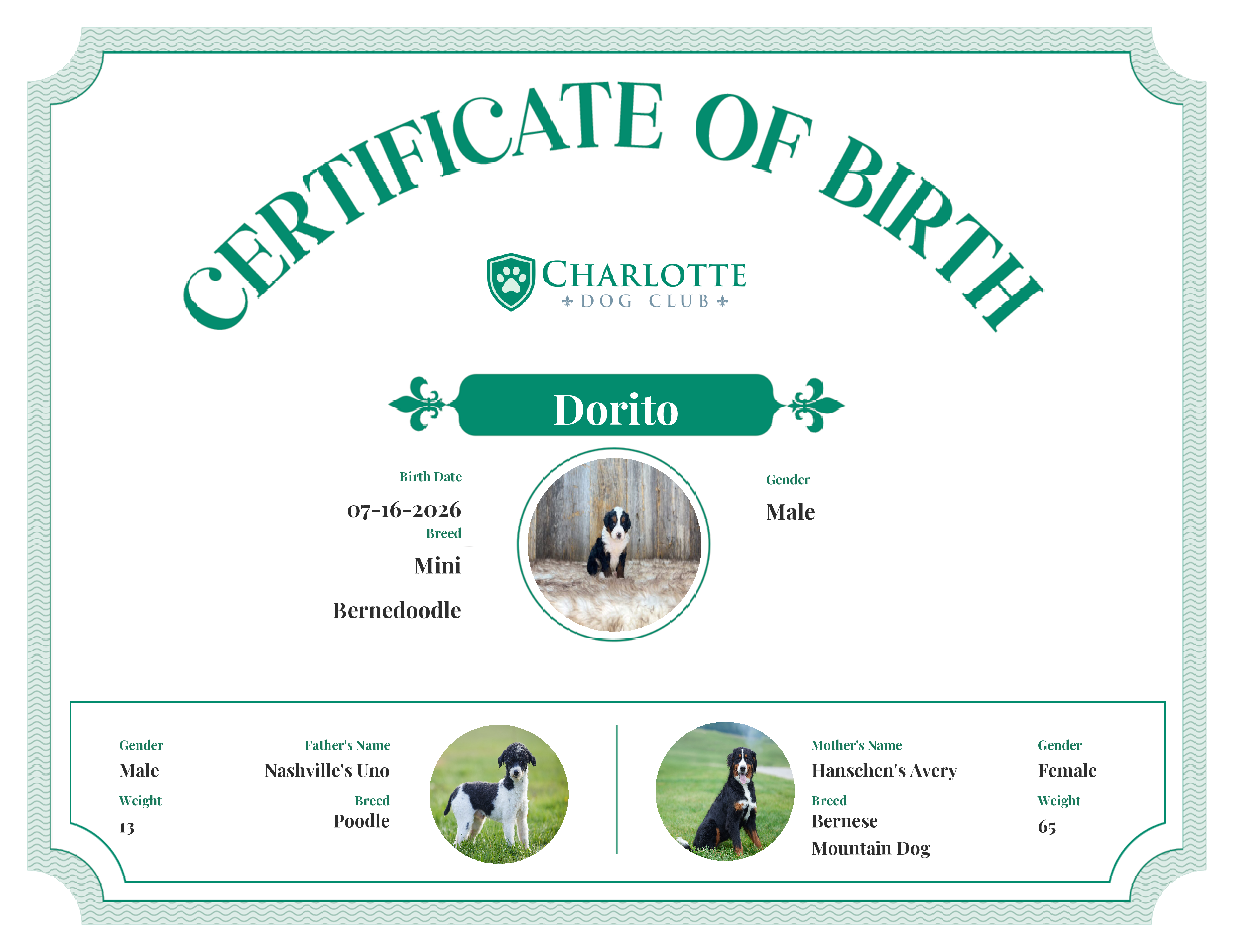 Dorito's Birth Certificate