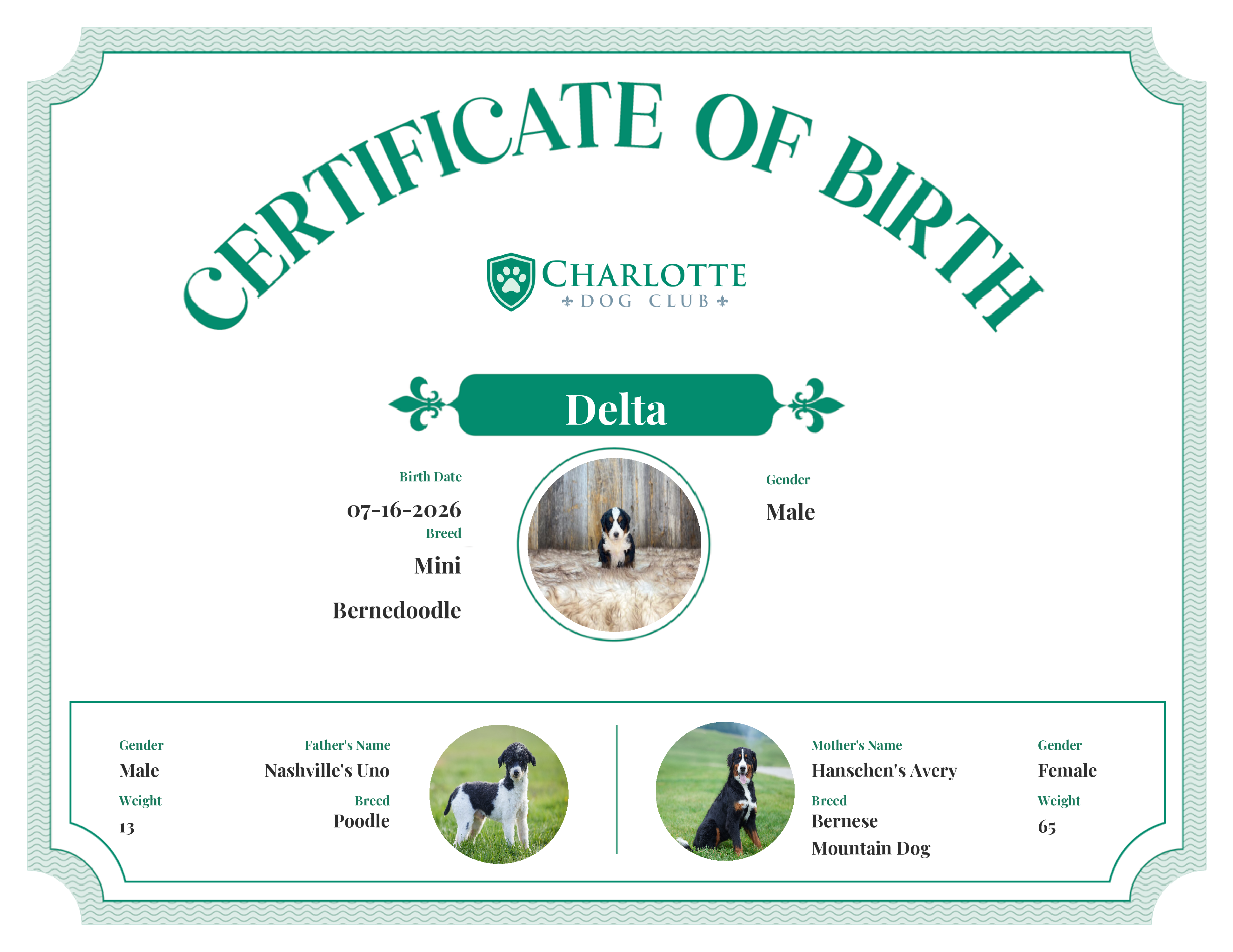 Delta's Birth Certificate