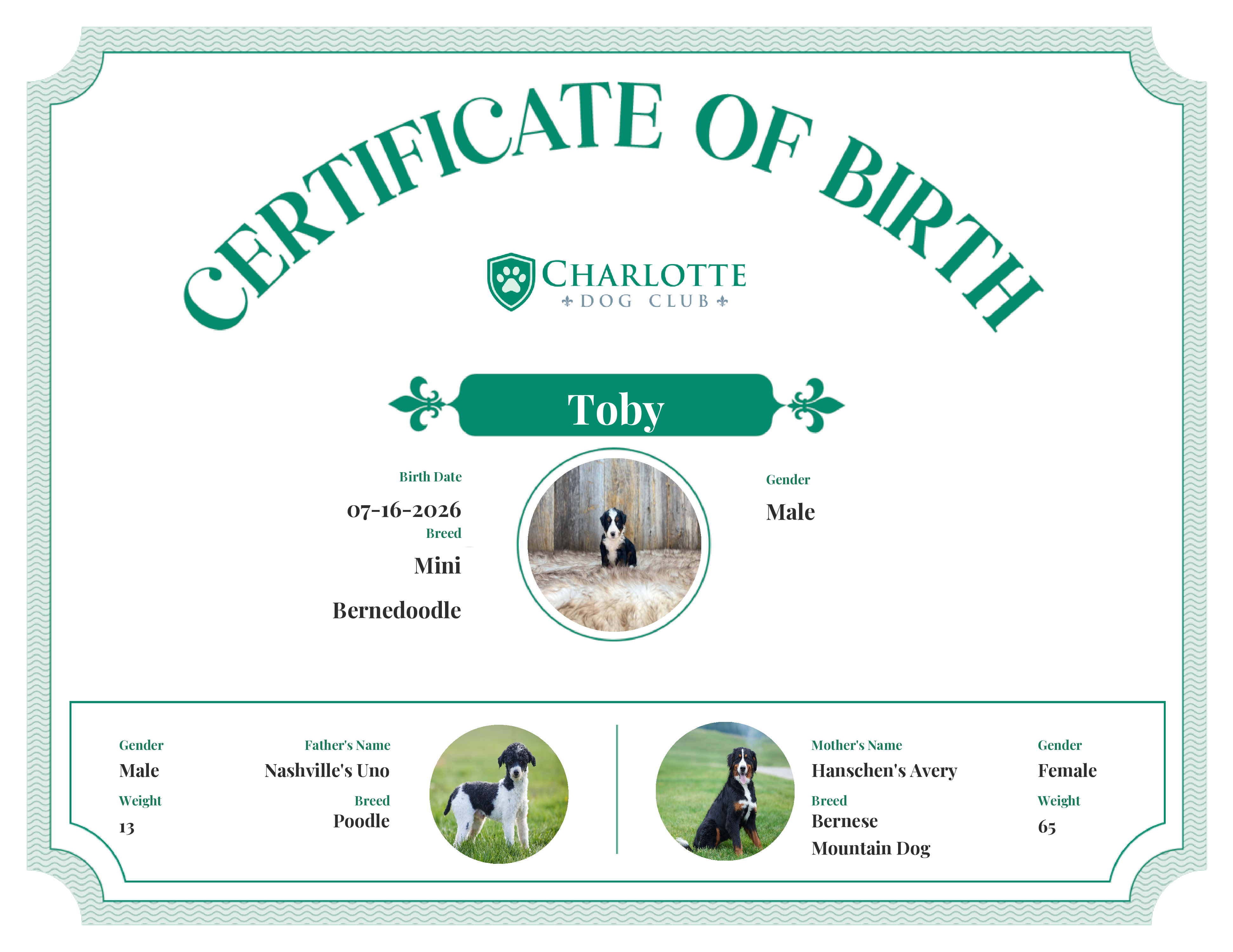 Doodlebug's Birth Certificate