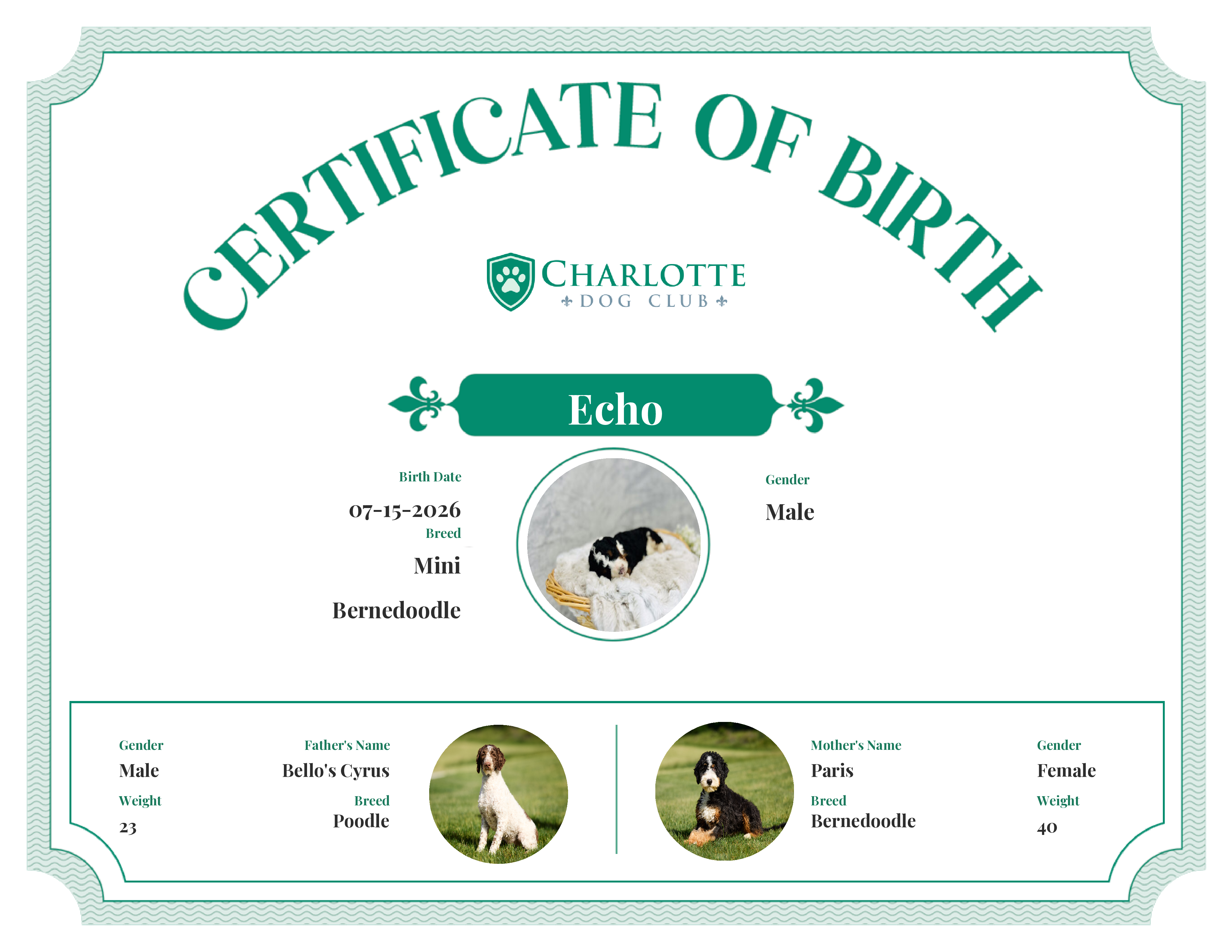 Echo's Birth Certificate
