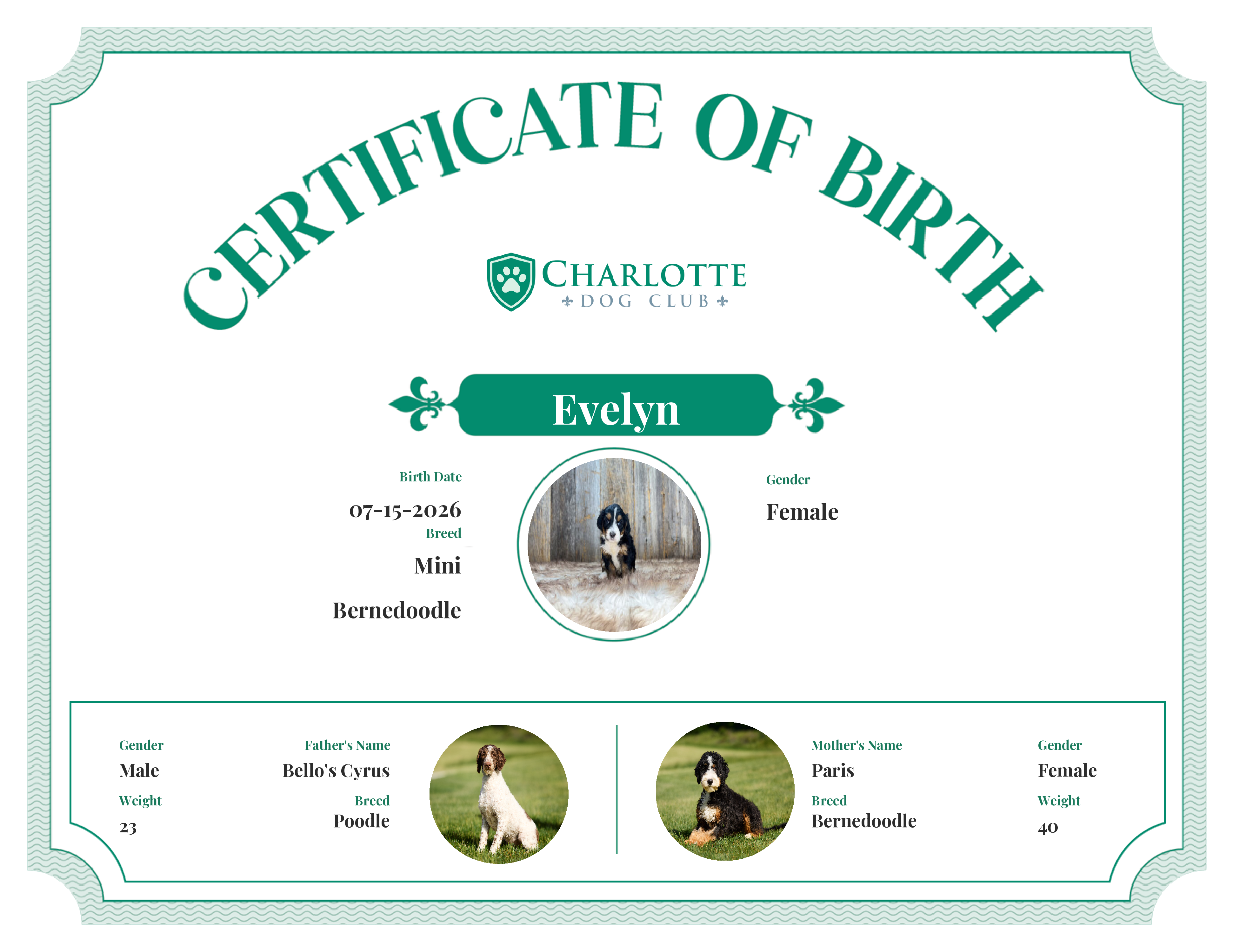 Evelyn's Birth Certificate