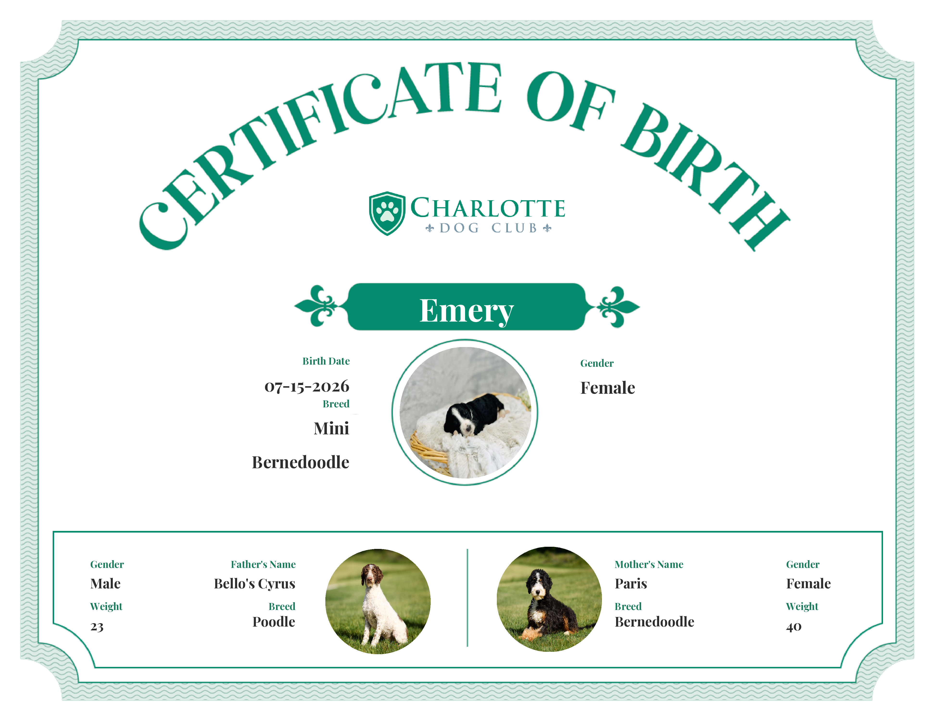 Emery's Birth Certificate