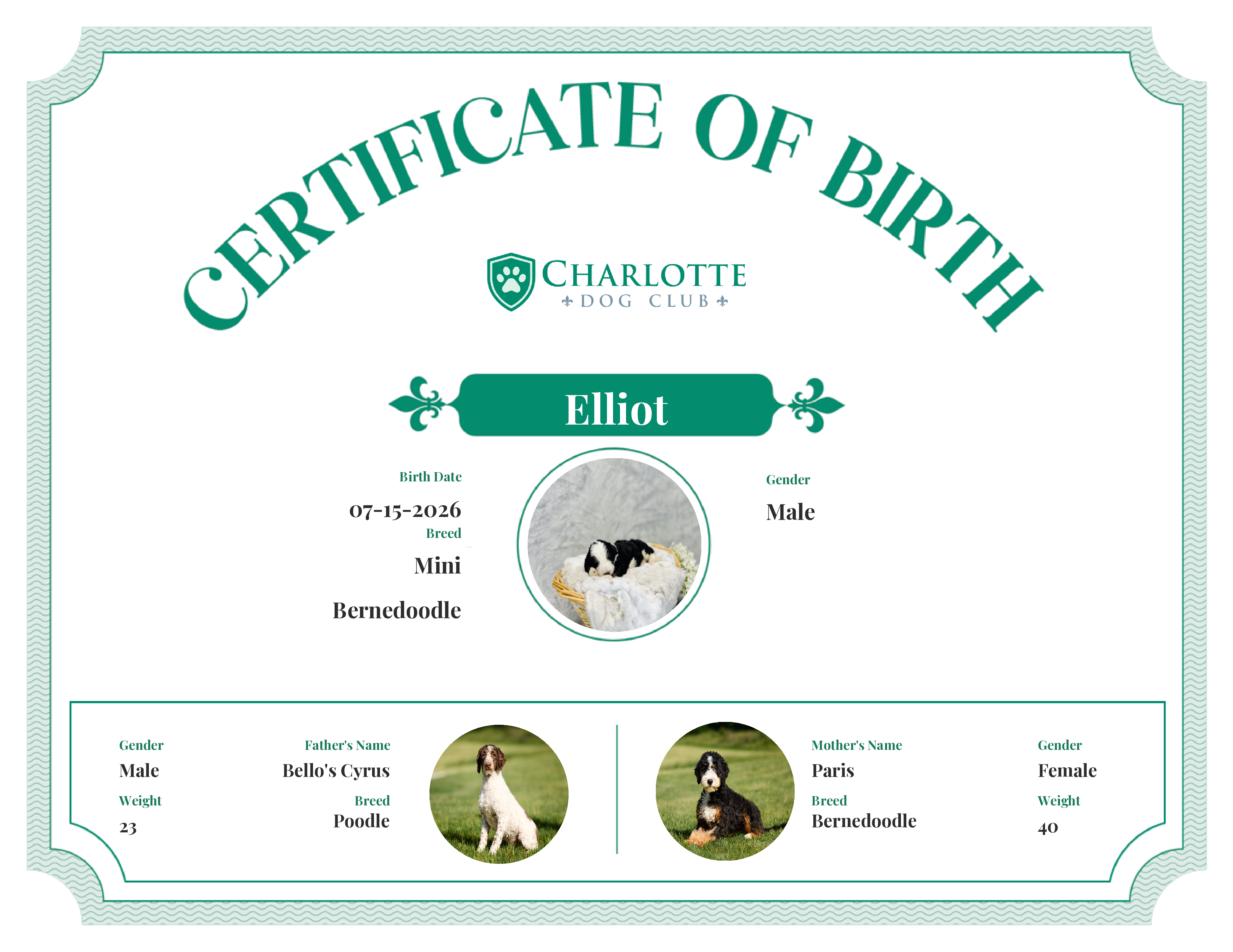 Elliot's Birth Certificate