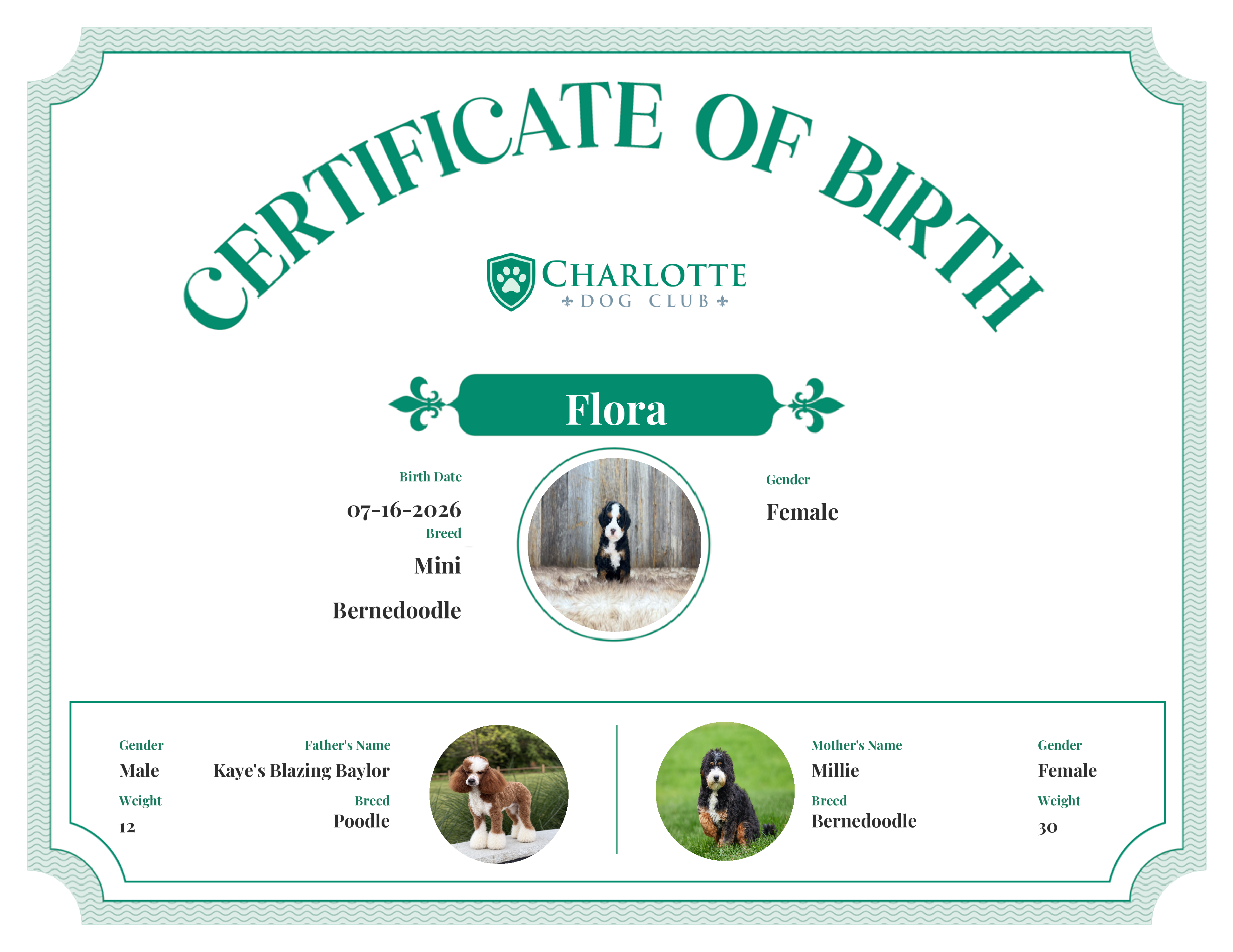 Flora's Birth Certificate