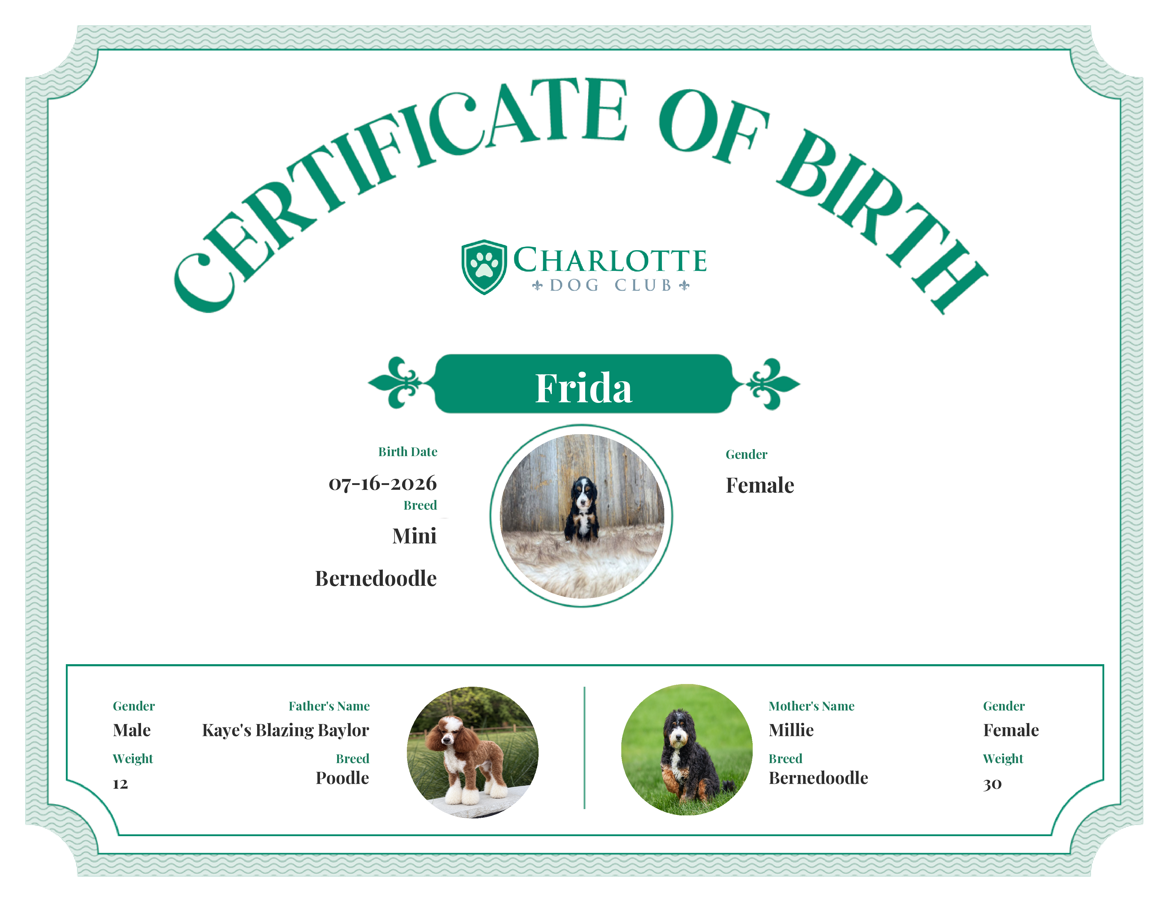 Frida's Birth Certificate