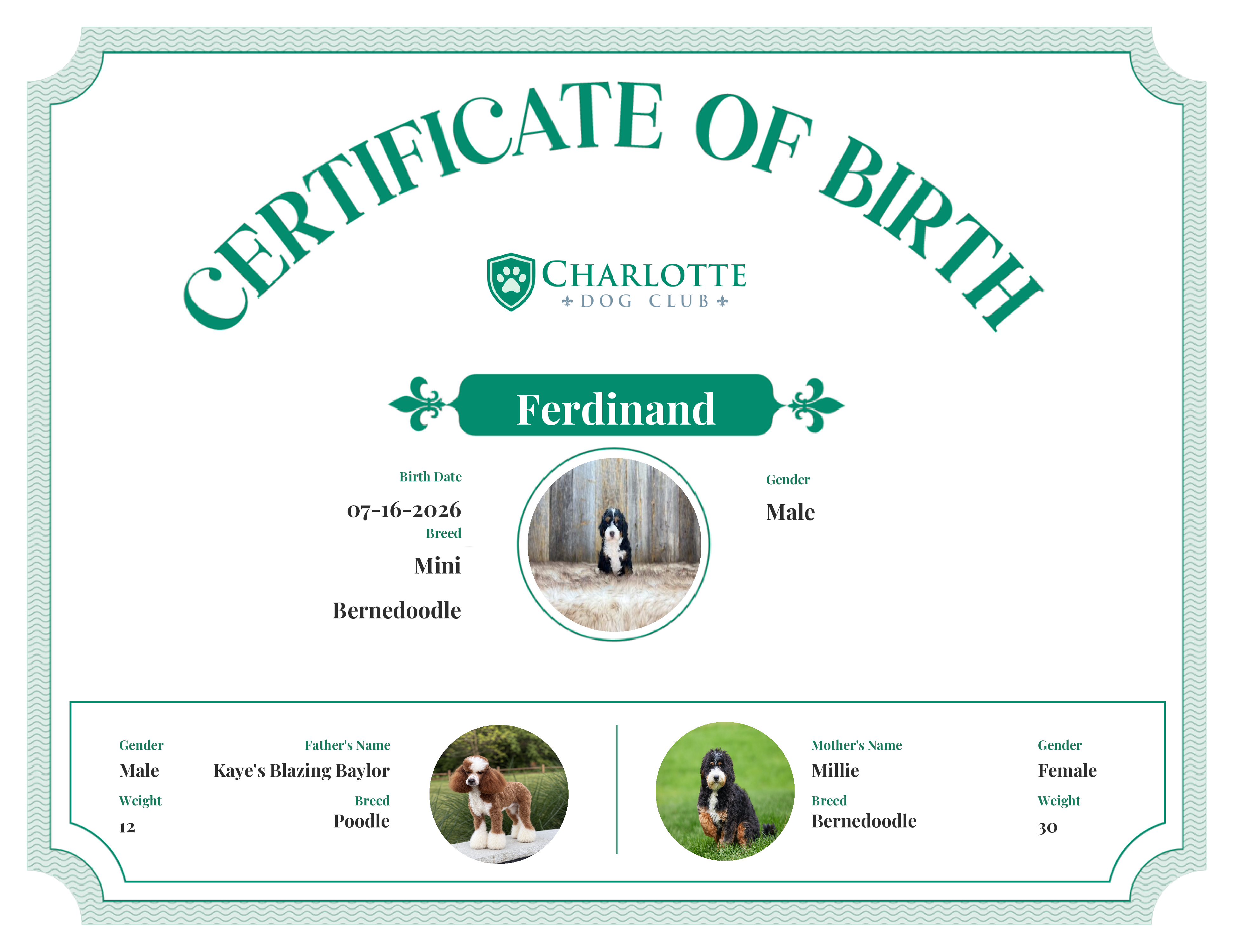 Ferdinand's Birth Certificate