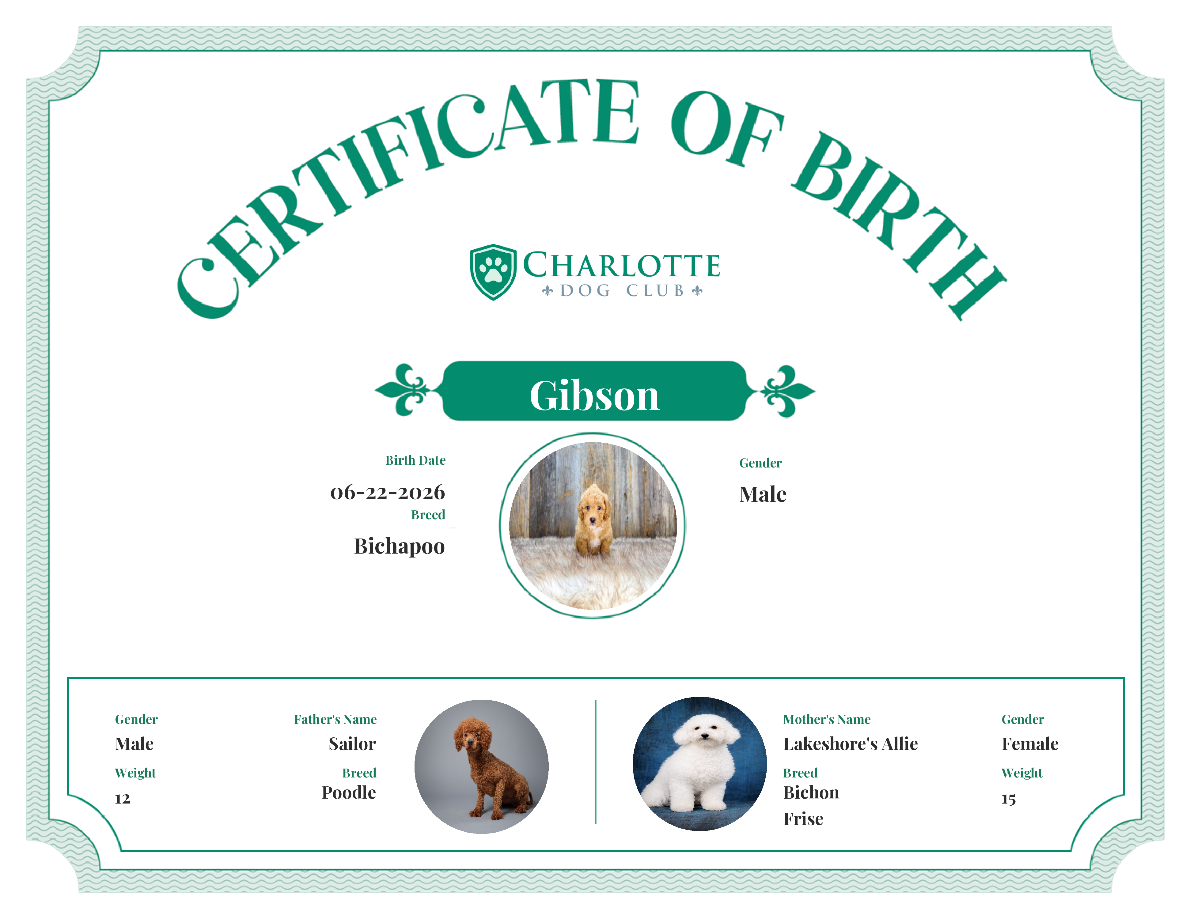 Gibson's Birth Certificate