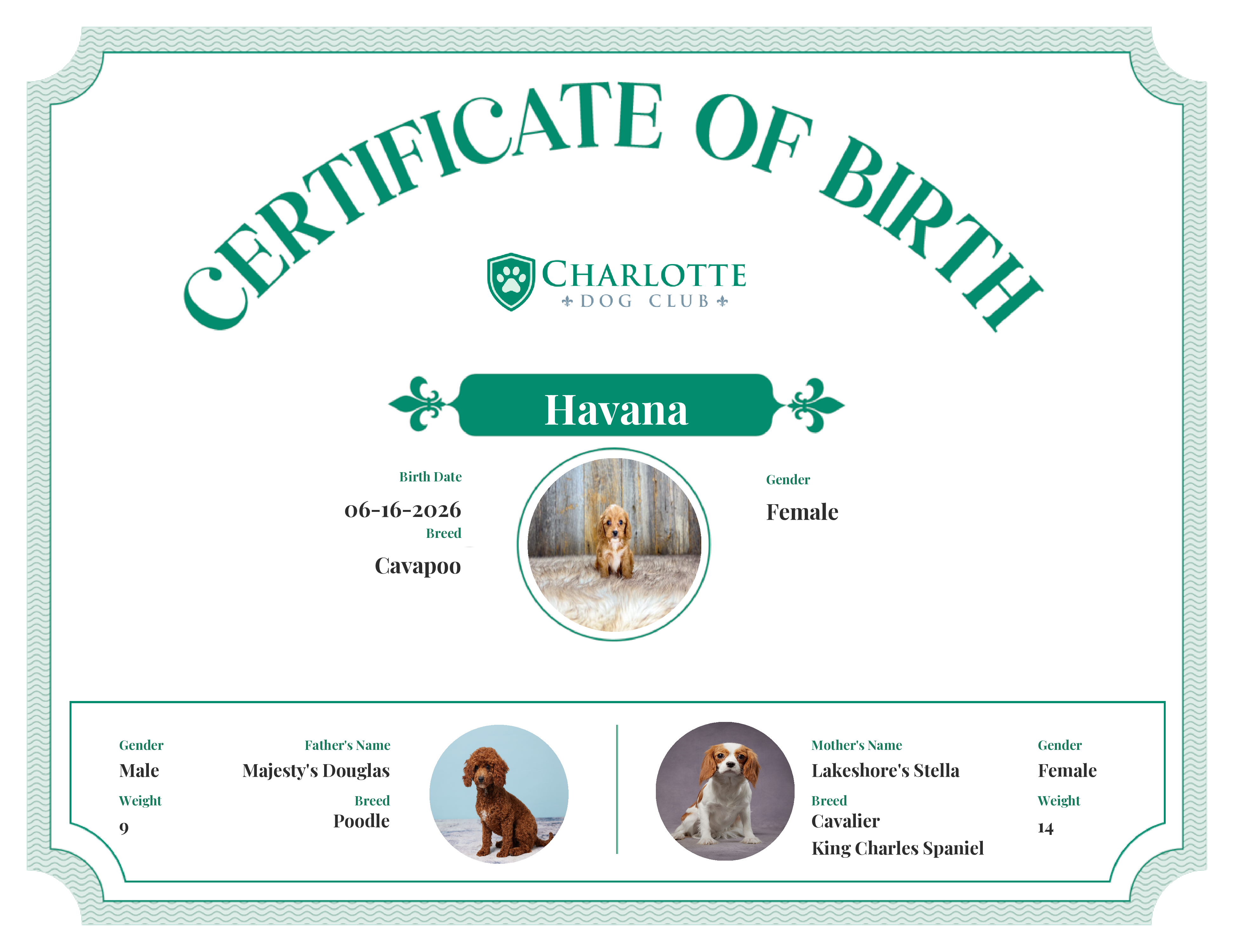 Havana's Birth Certificate