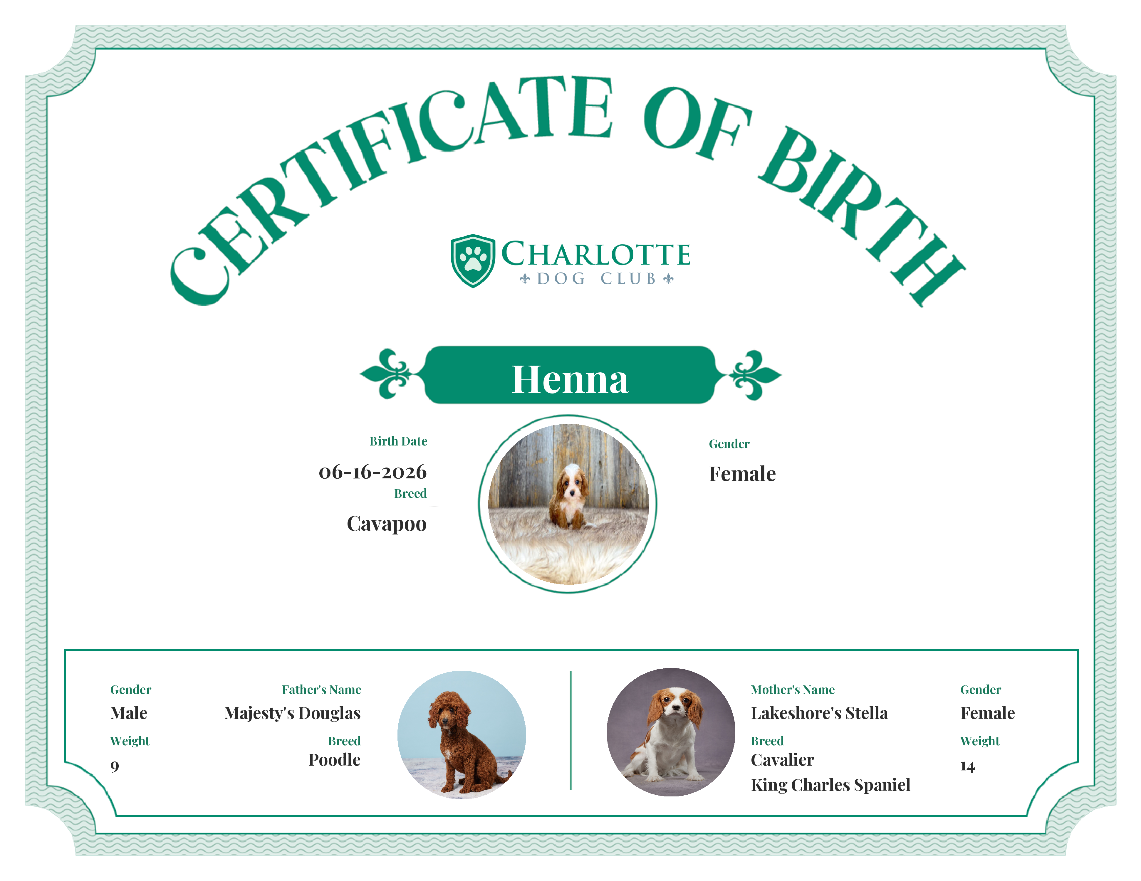 Henna's Birth Certificate