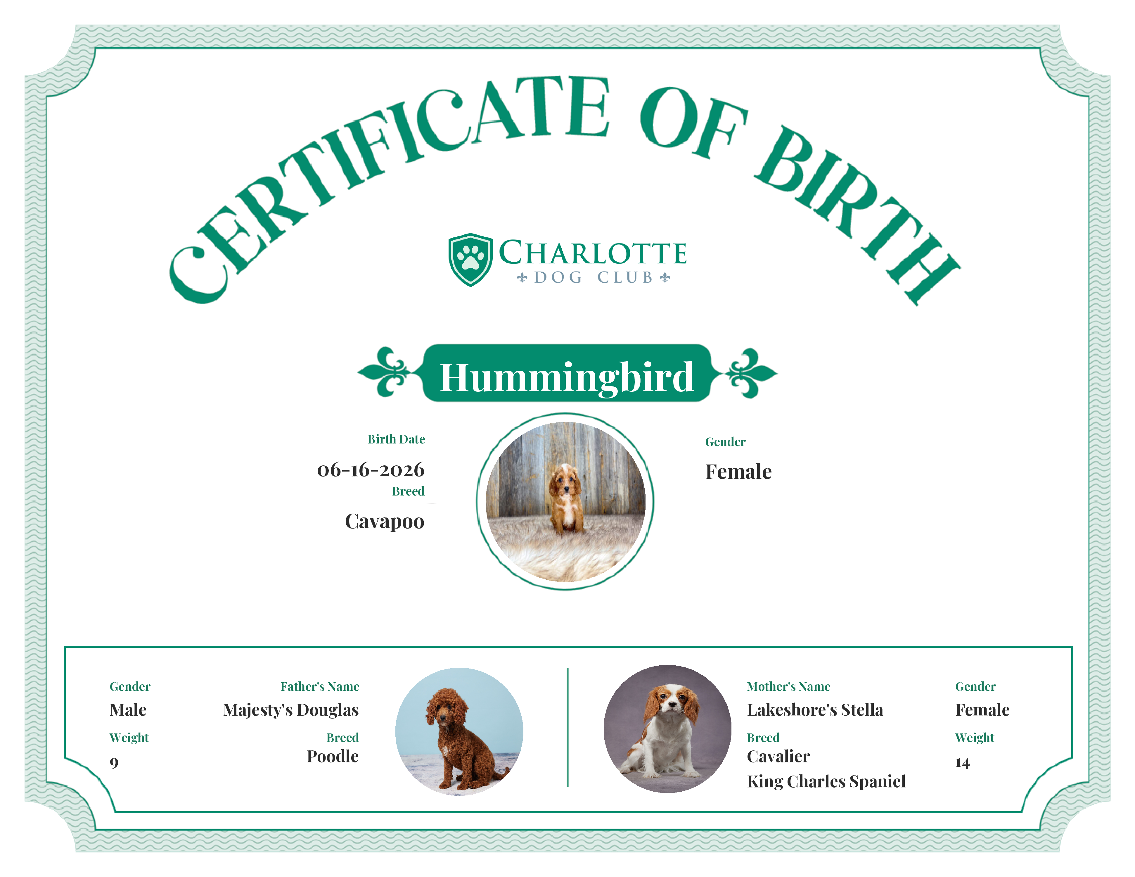 Hummingbird's Birth Certificate