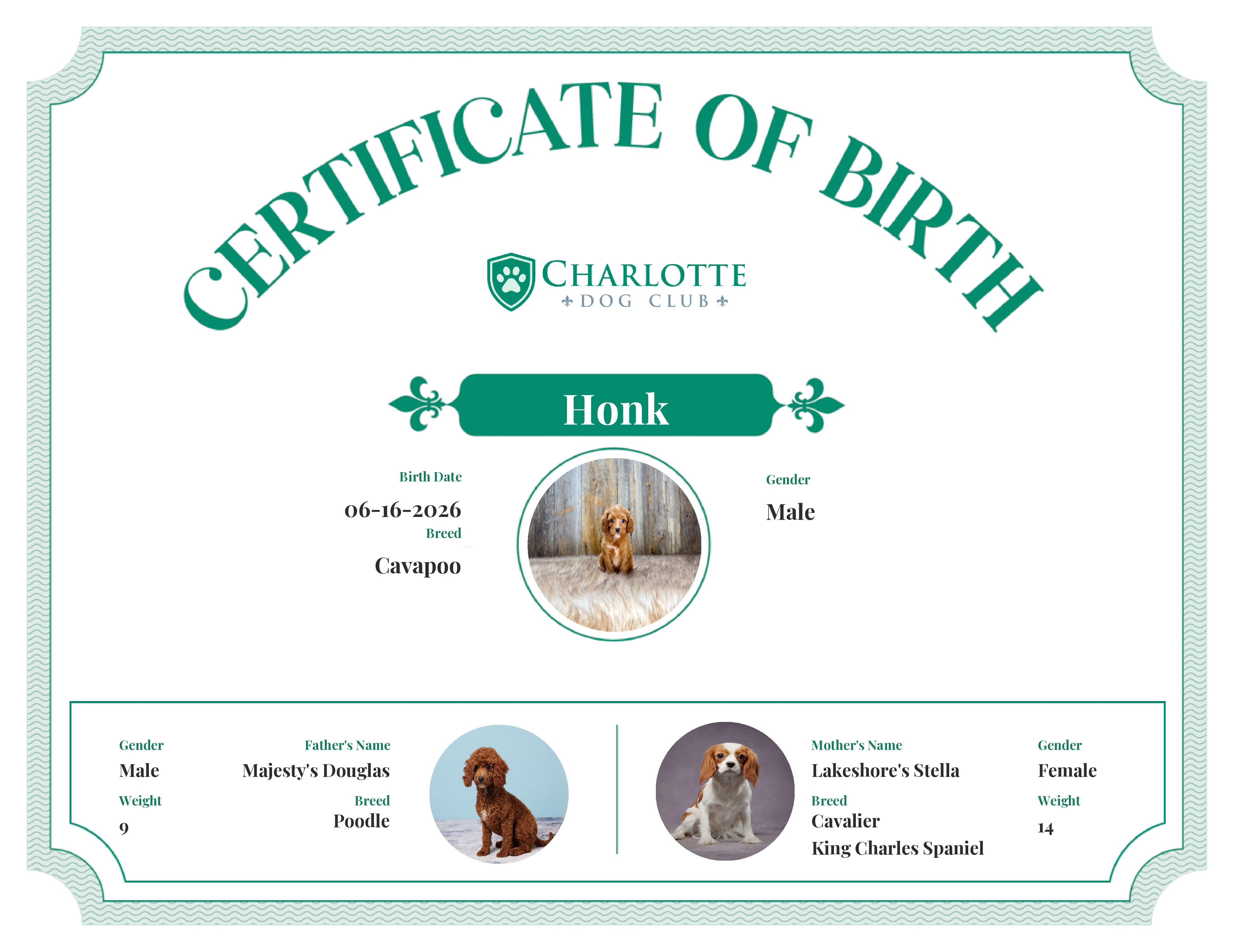 Honk's Birth Certificate