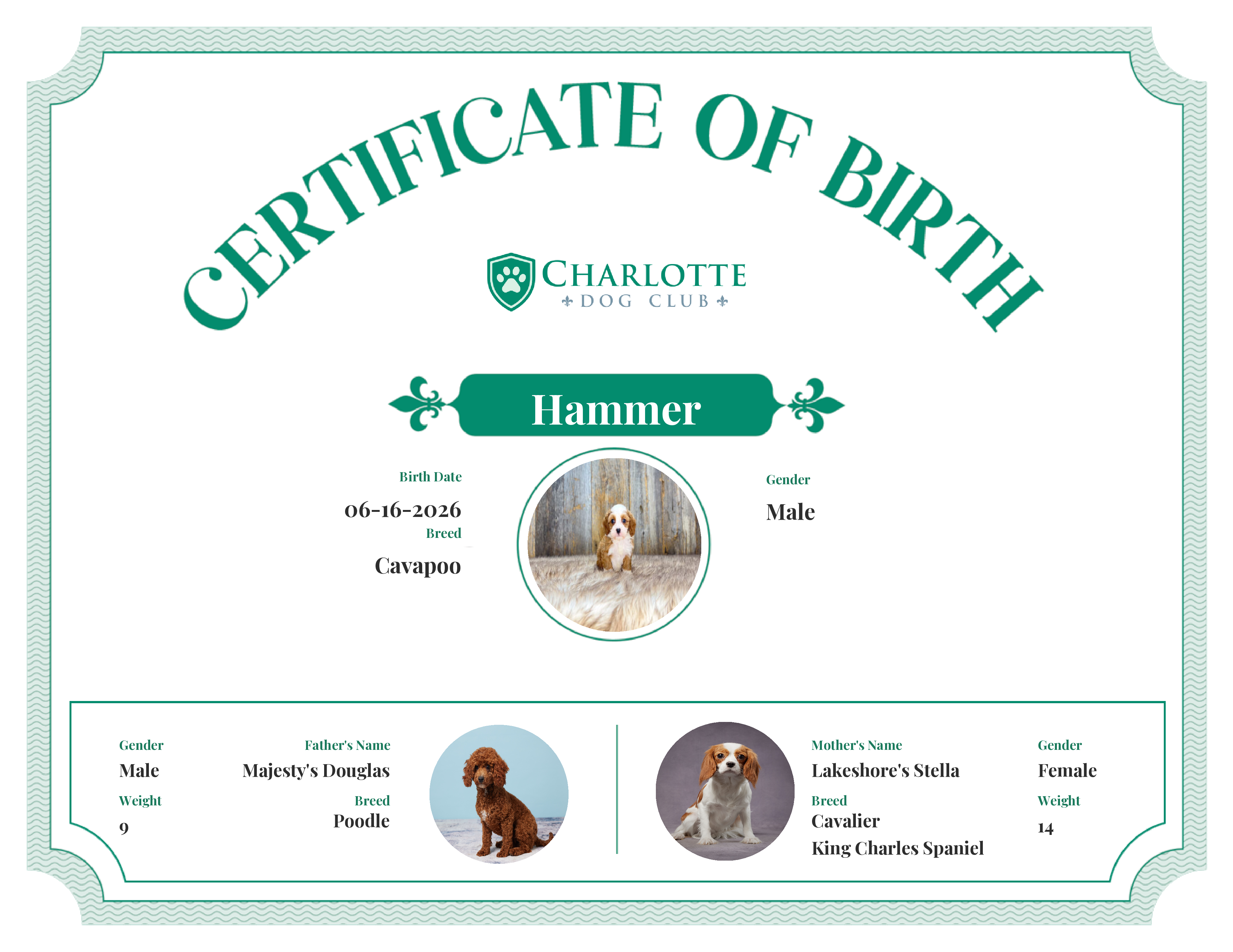 Hammer's Birth Certificate