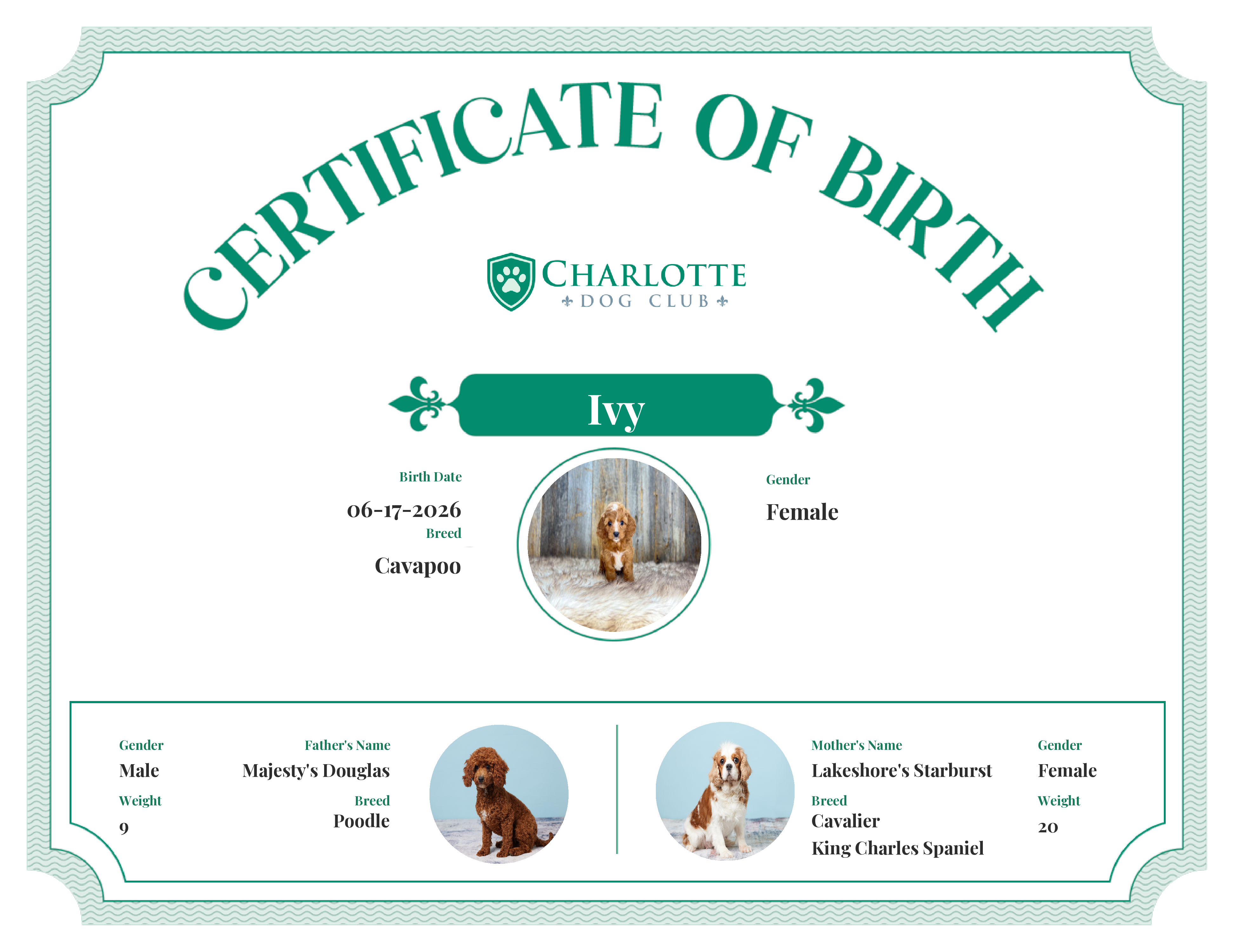 Ivy's Birth Certificate