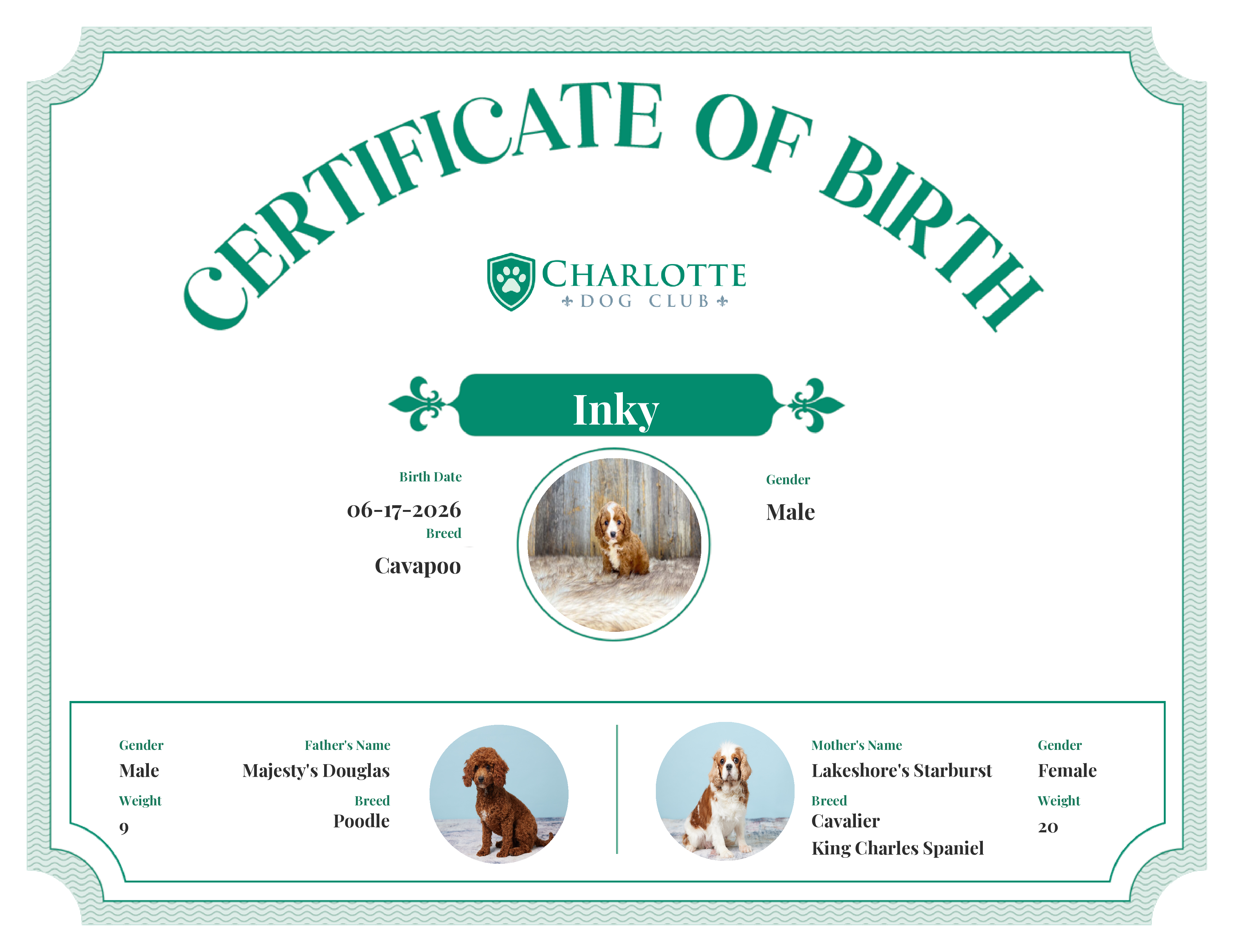 Inky's Birth Certificate