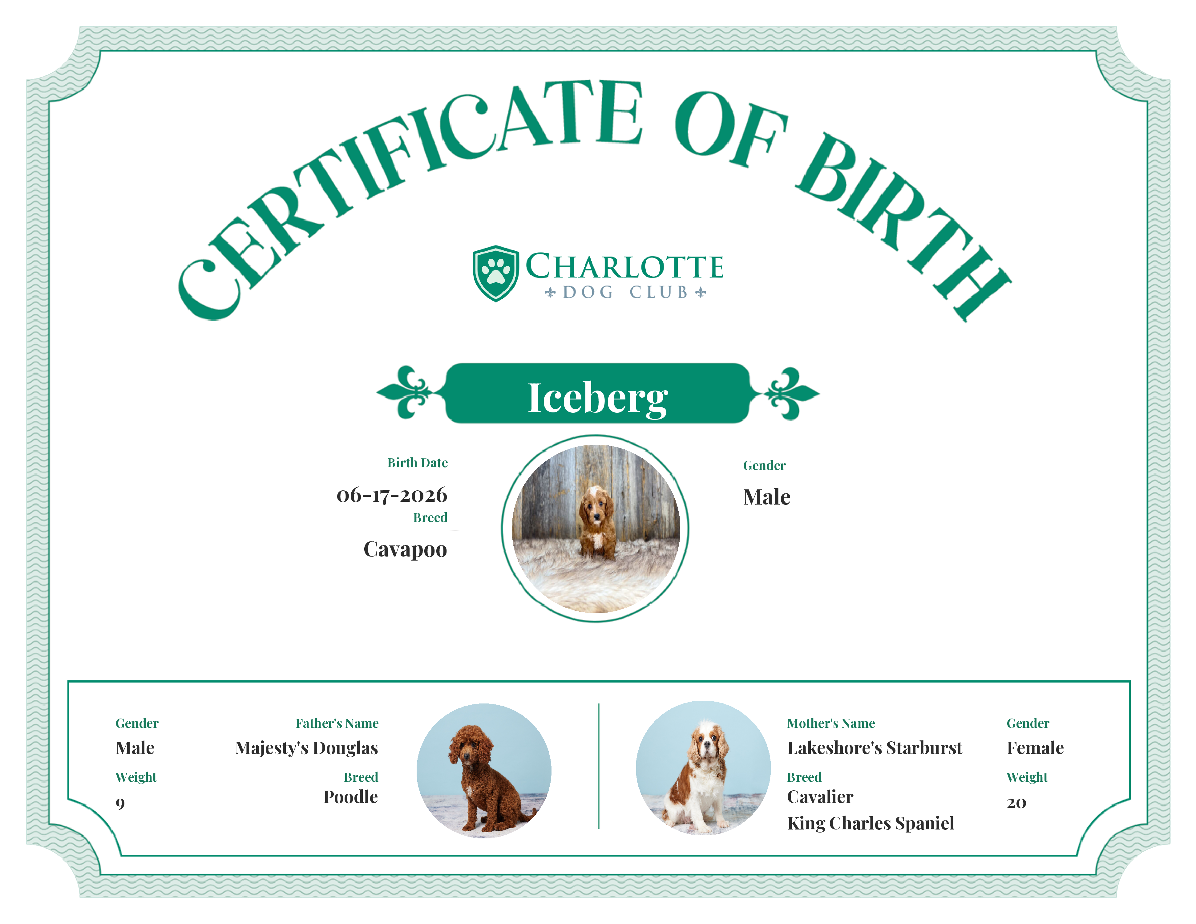Iceberg's Birth Certificate