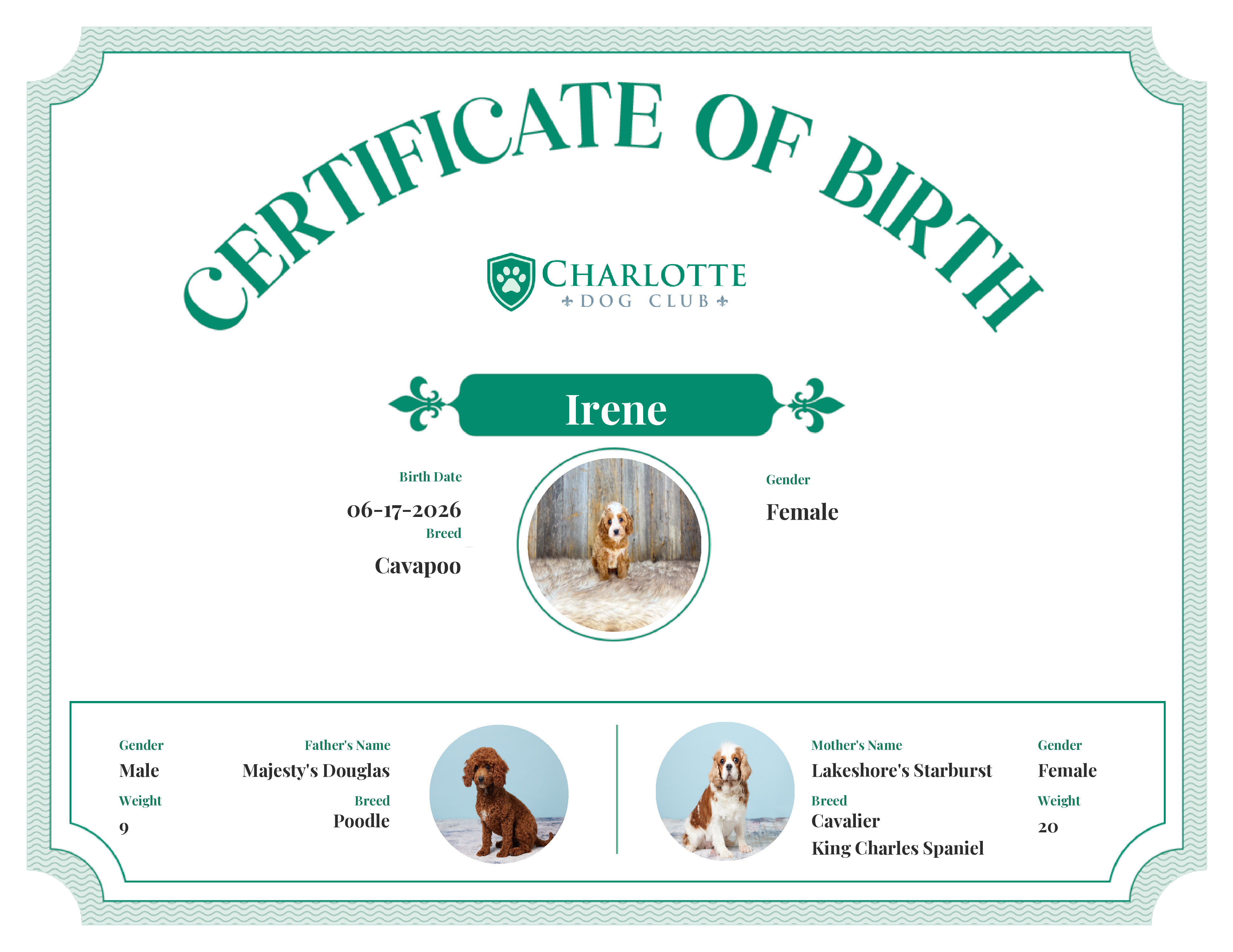 Irene's Birth Certificate