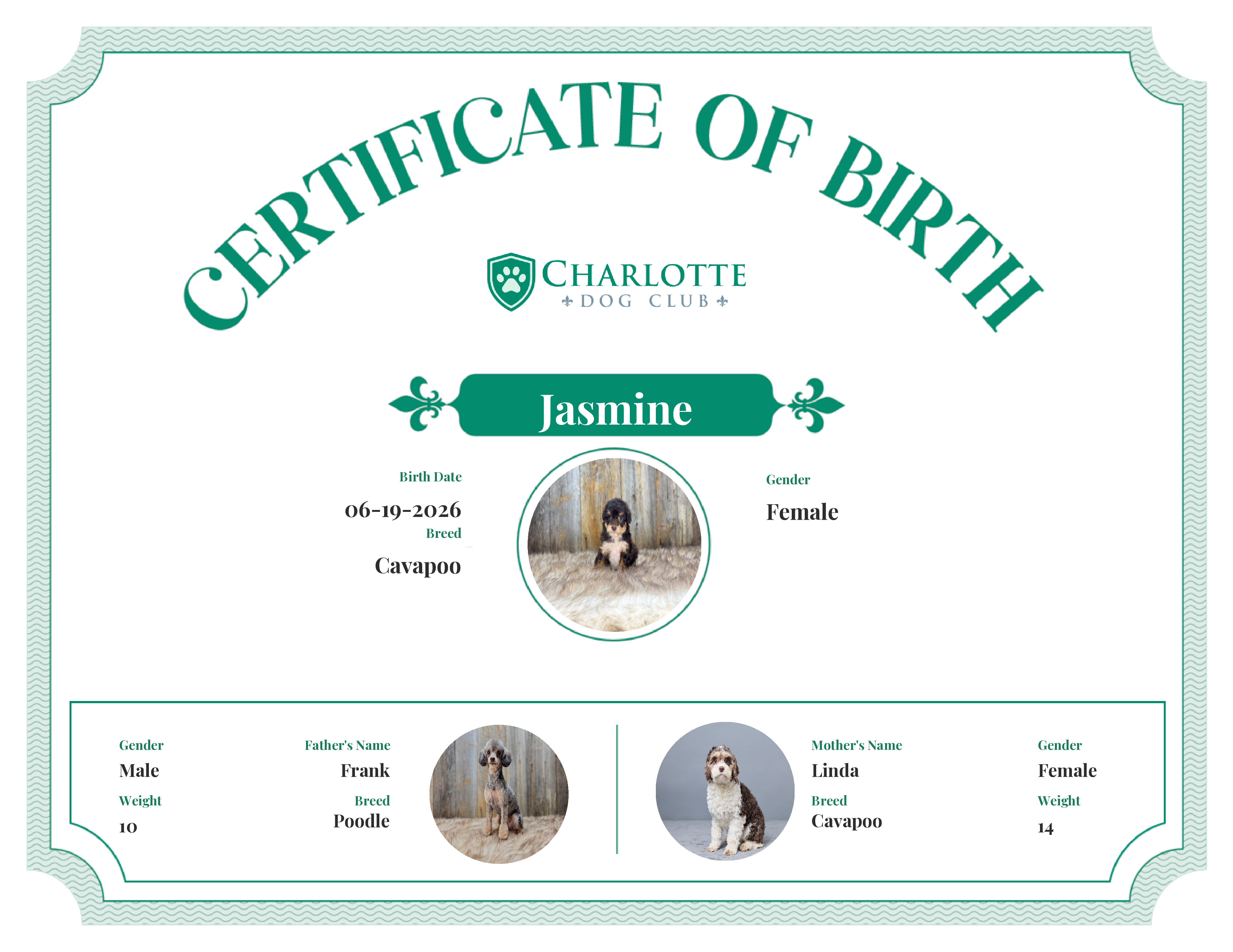 Jasmine's Birth Certificate