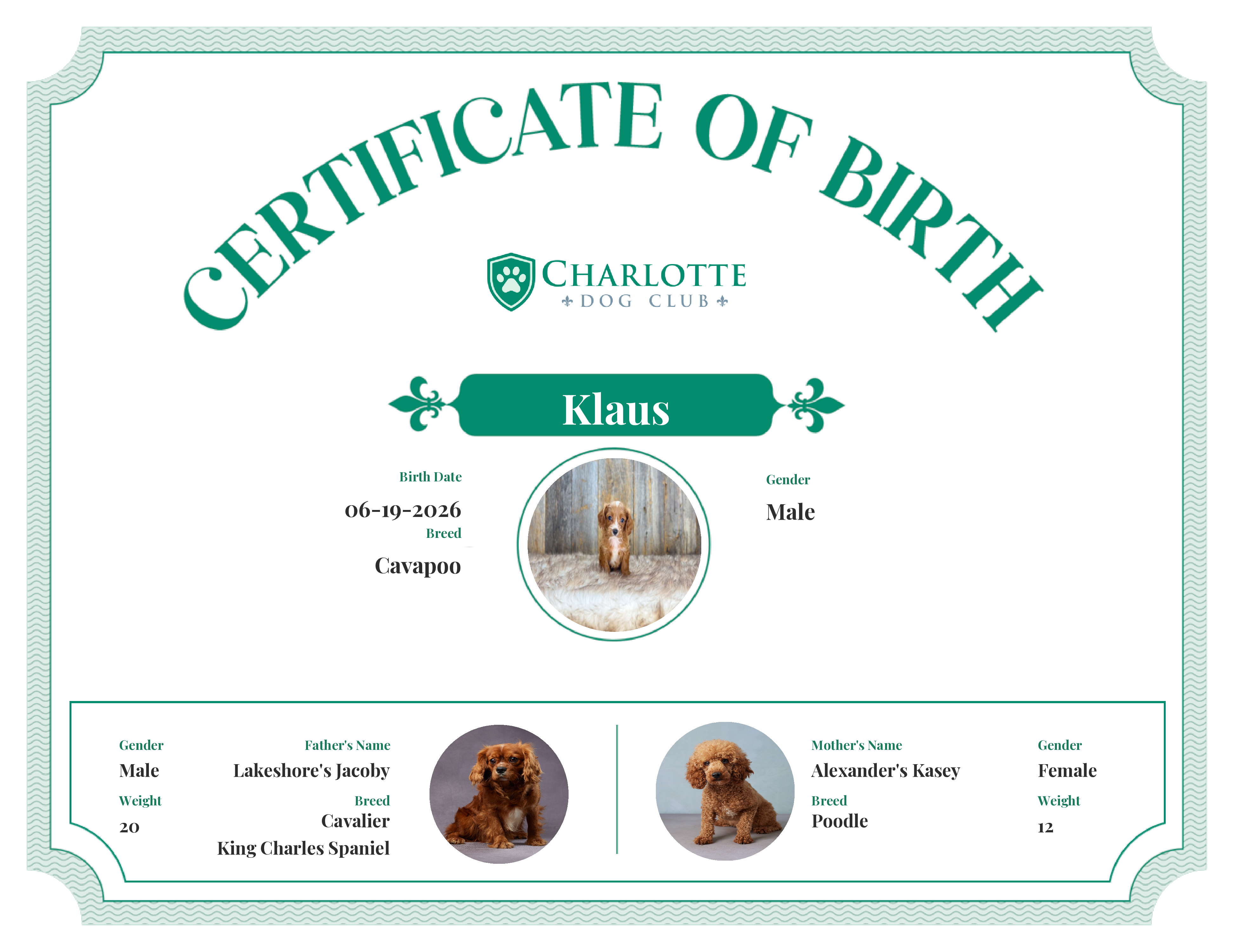 Klaus's Birth Certificate