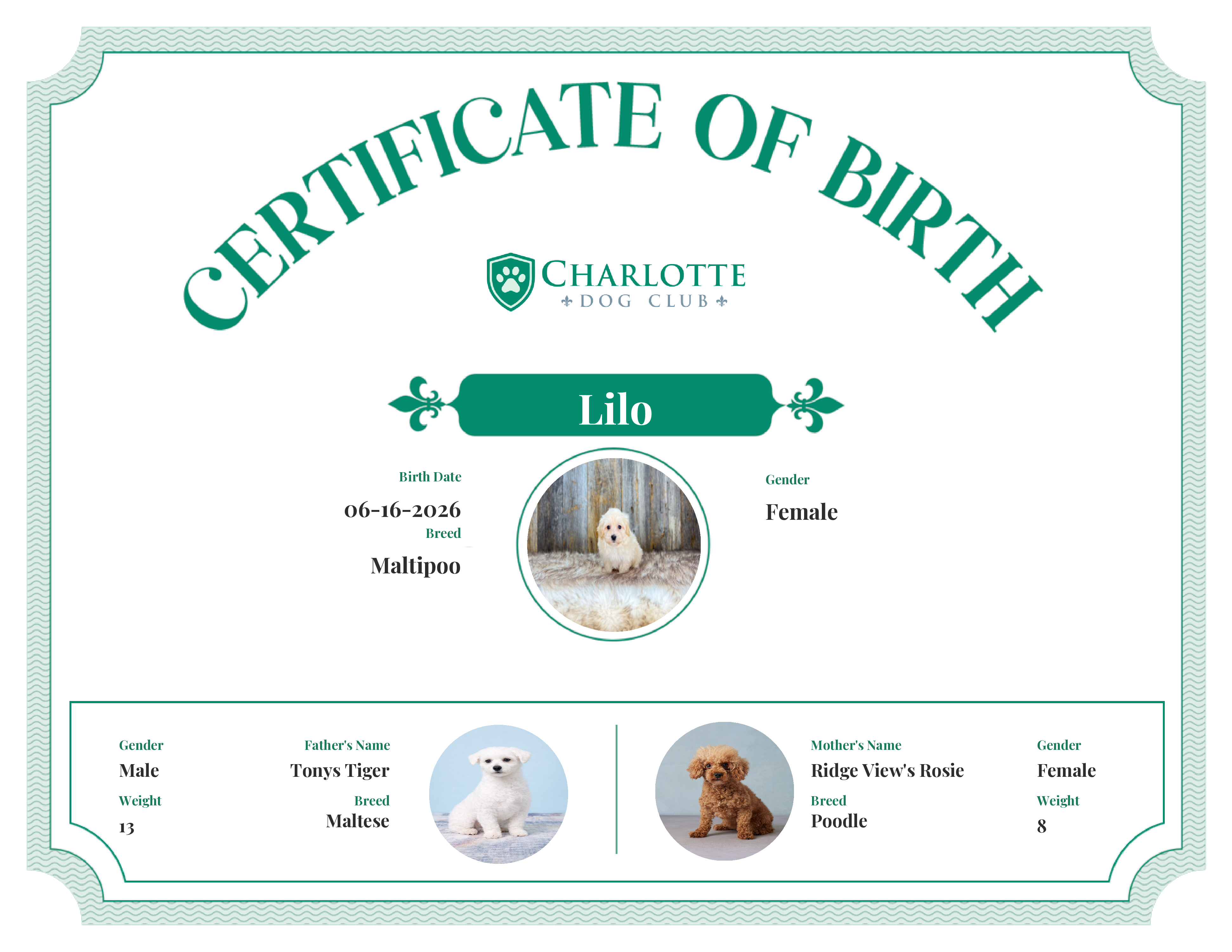 Lilo's Birth Certificate