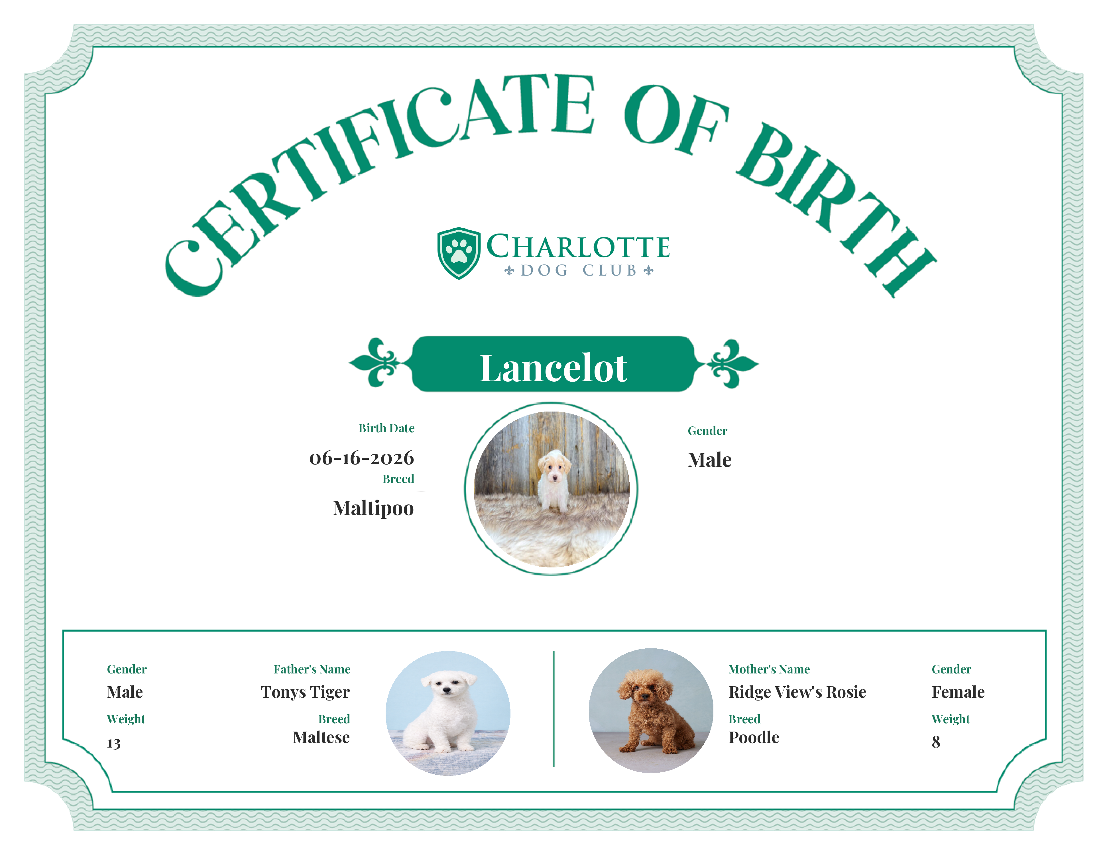 Lancelot's Birth Certificate