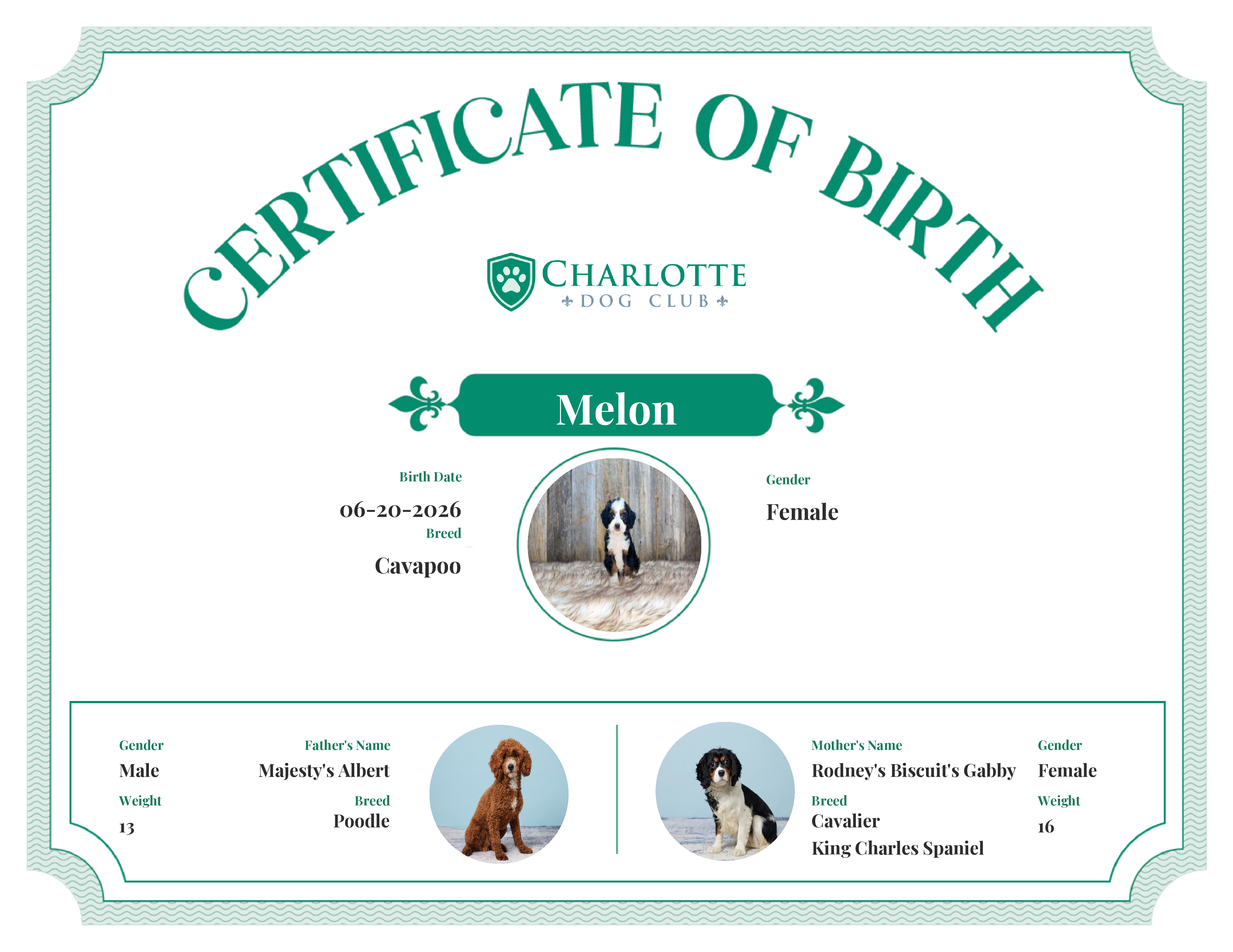 Melon's Birth Certificate