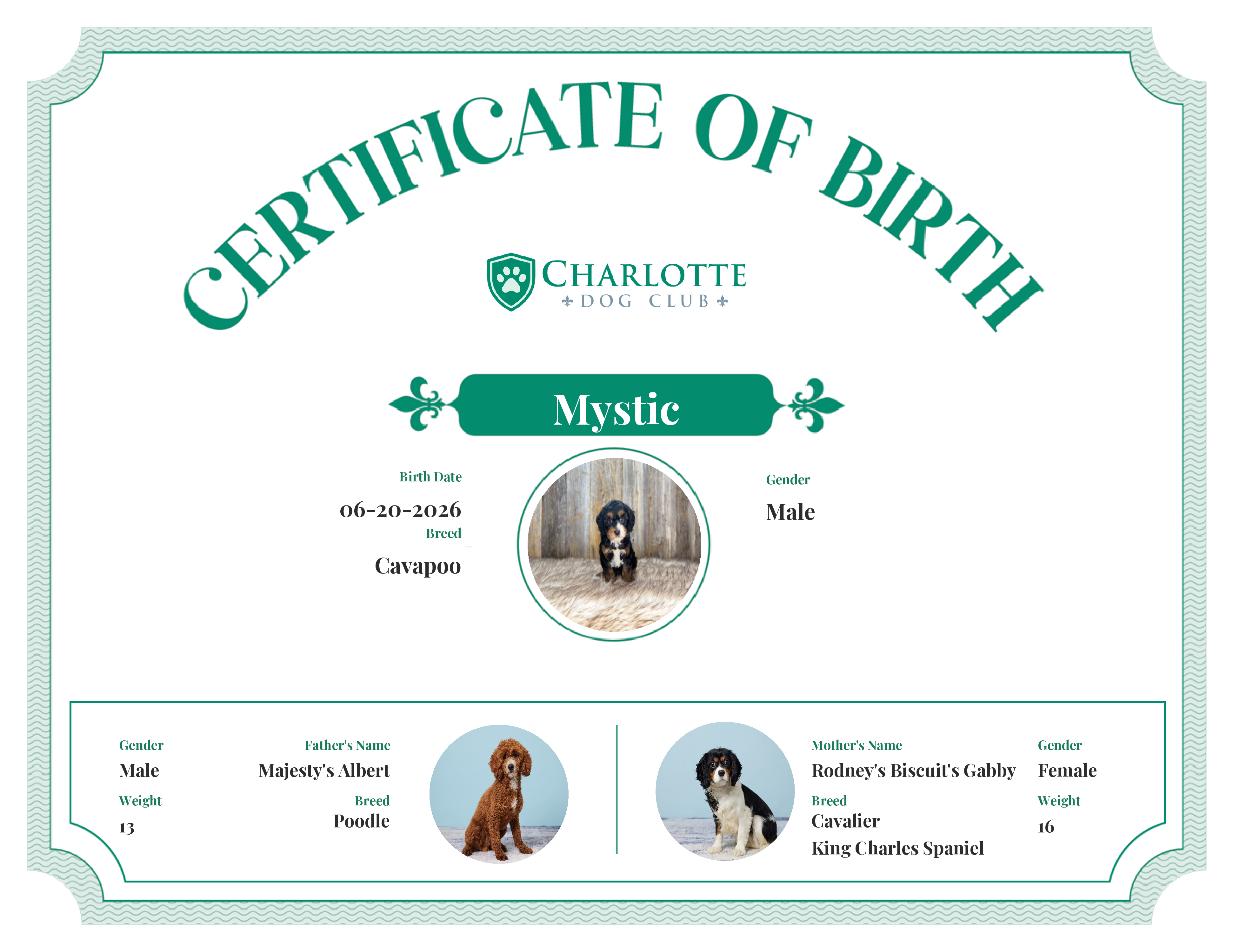 Mystic's Birth Certificate