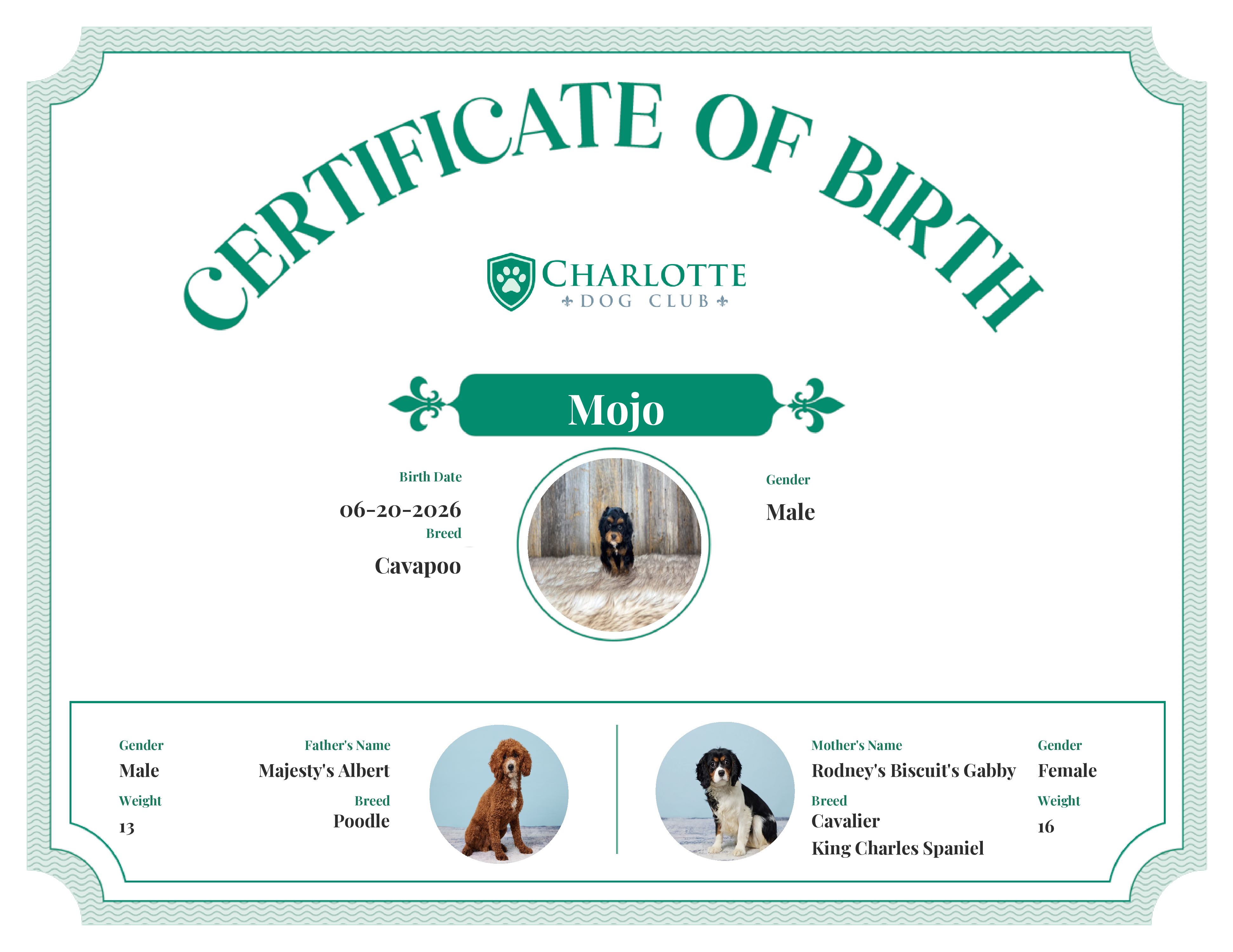 Mojo's Birth Certificate