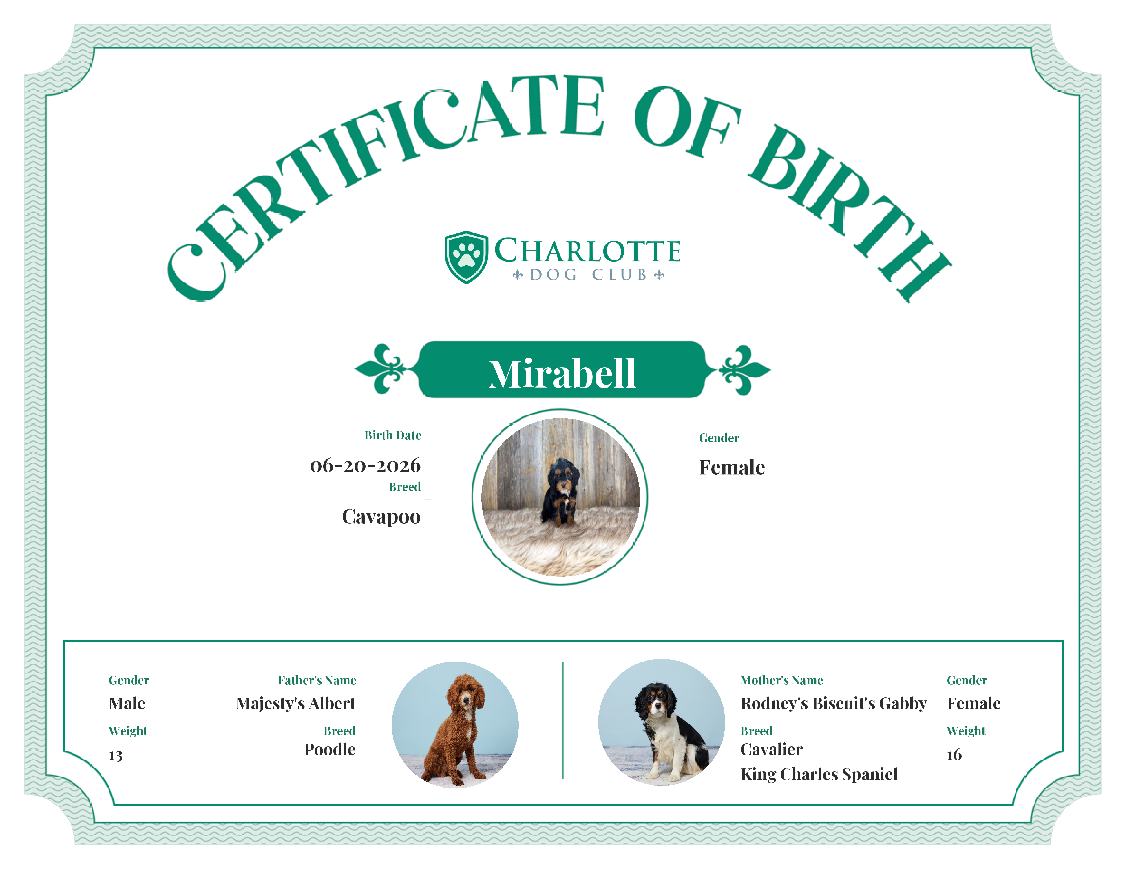 Mirabell's Birth Certificate