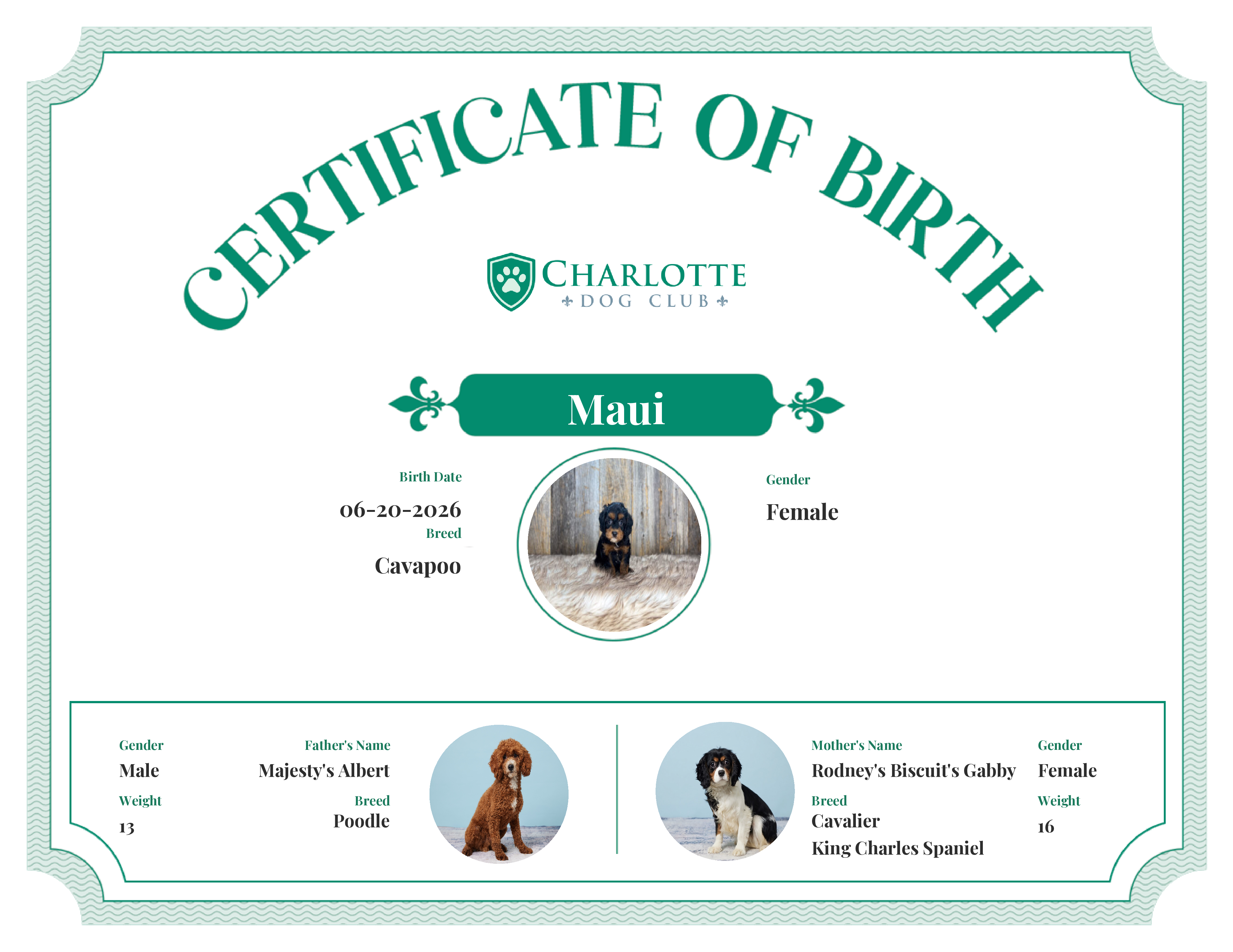 Maui's Birth Certificate