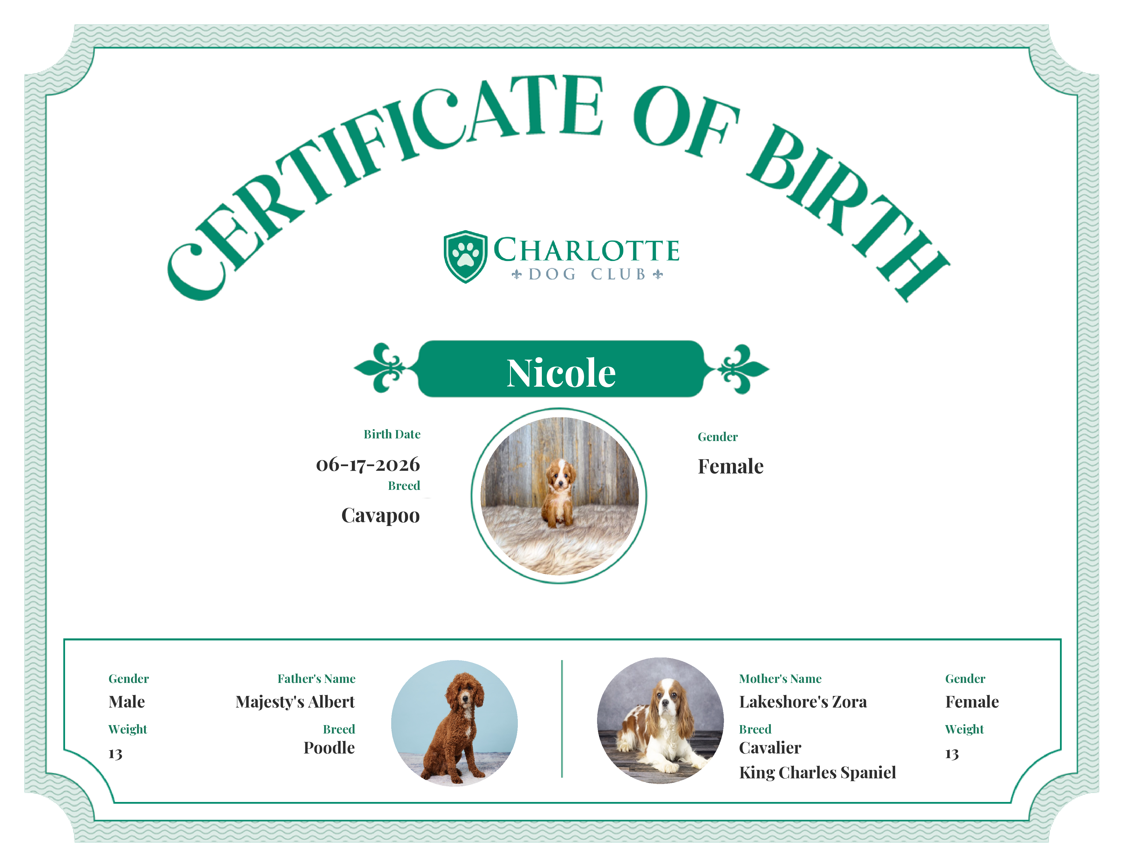 Nicole's Birth Certificate