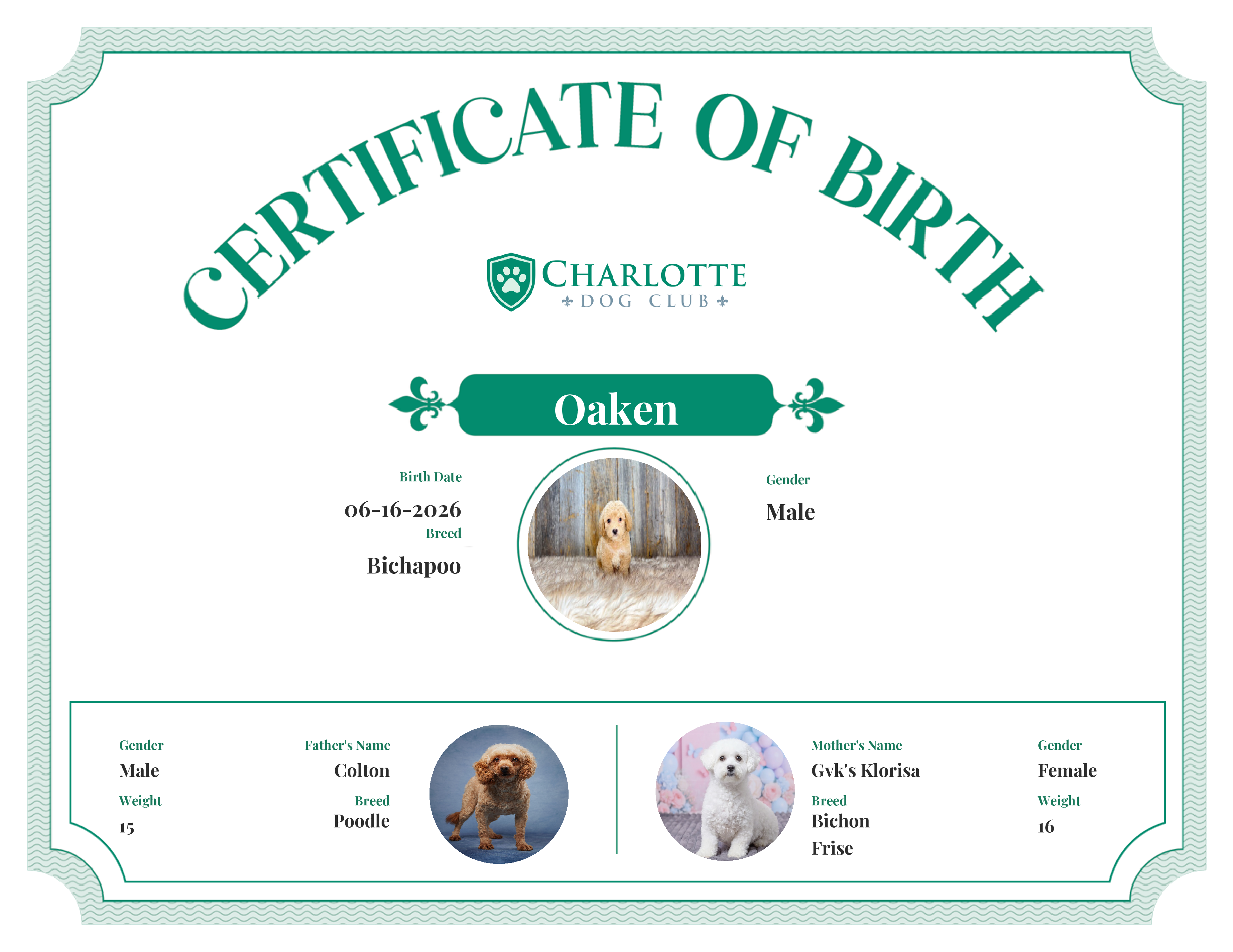 Oaken's Birth Certificate