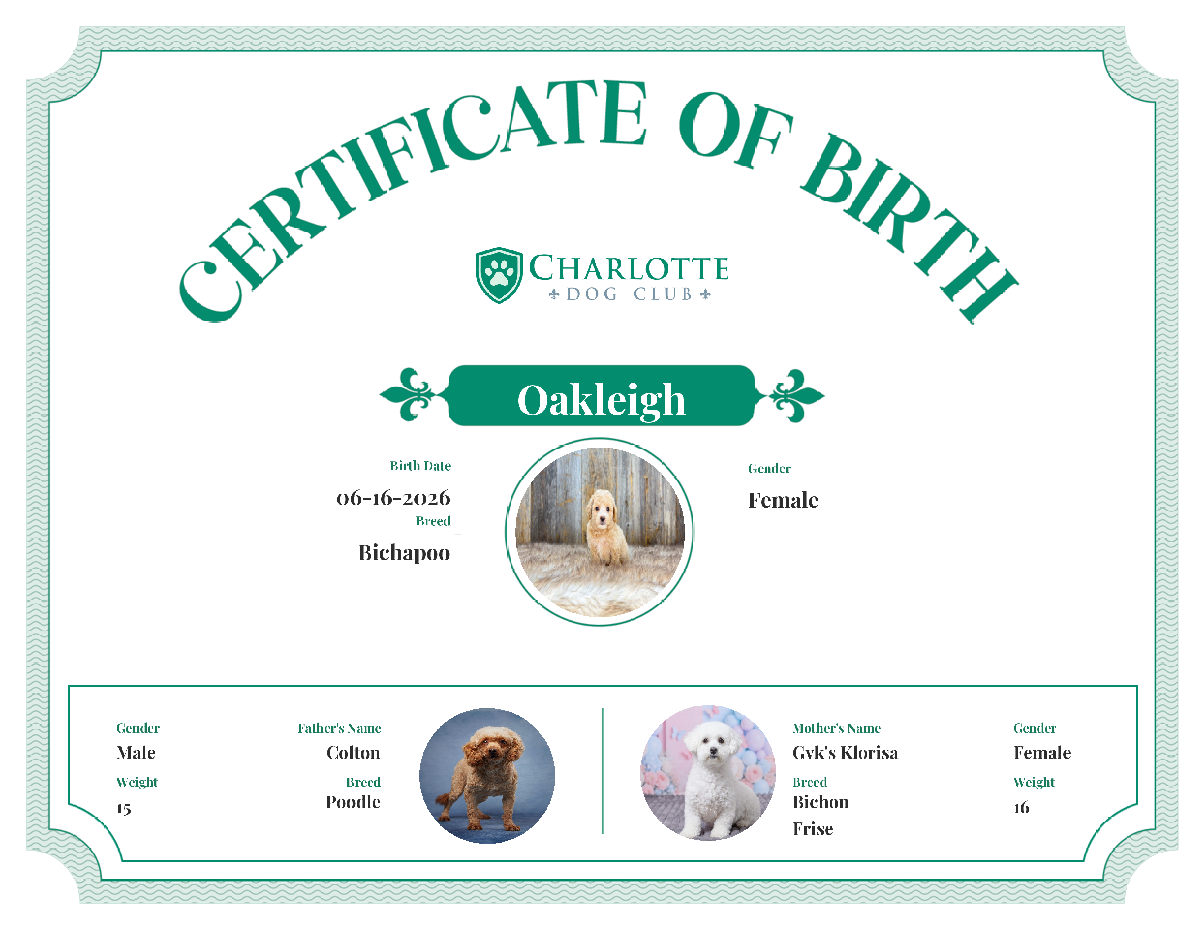 Oakleigh's Birth Certificate