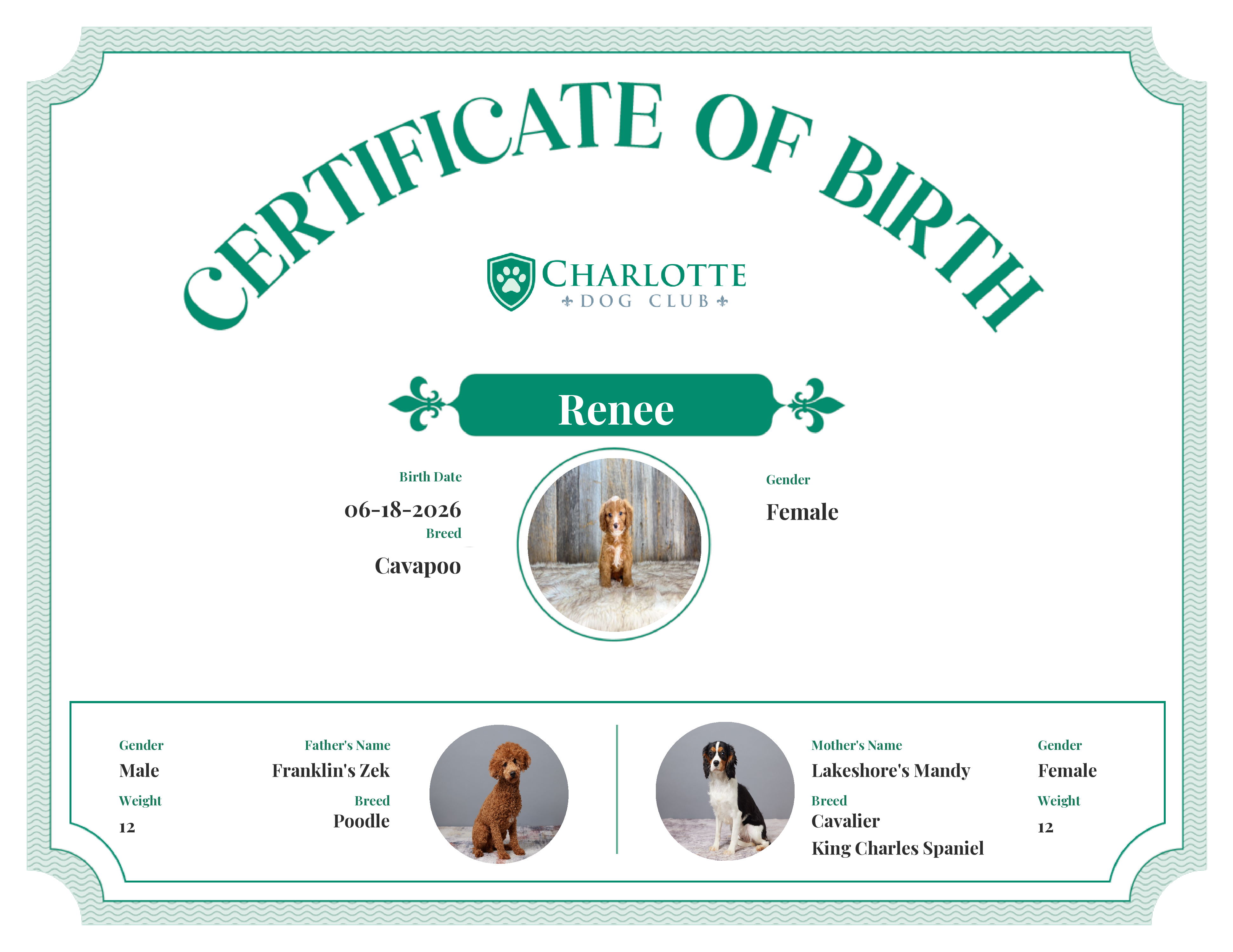 Renee's Birth Certificate