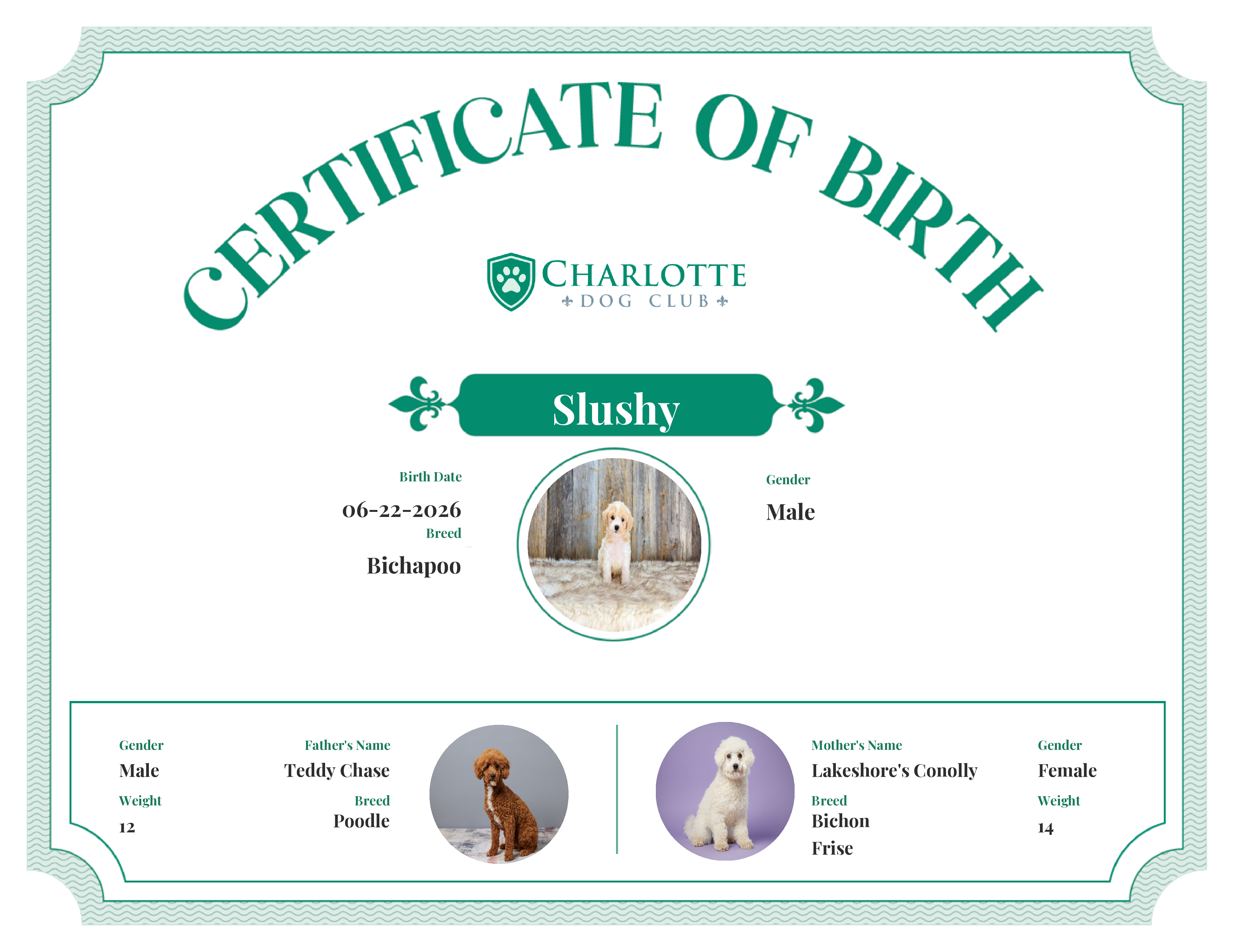 Slushy's Birth Certificate