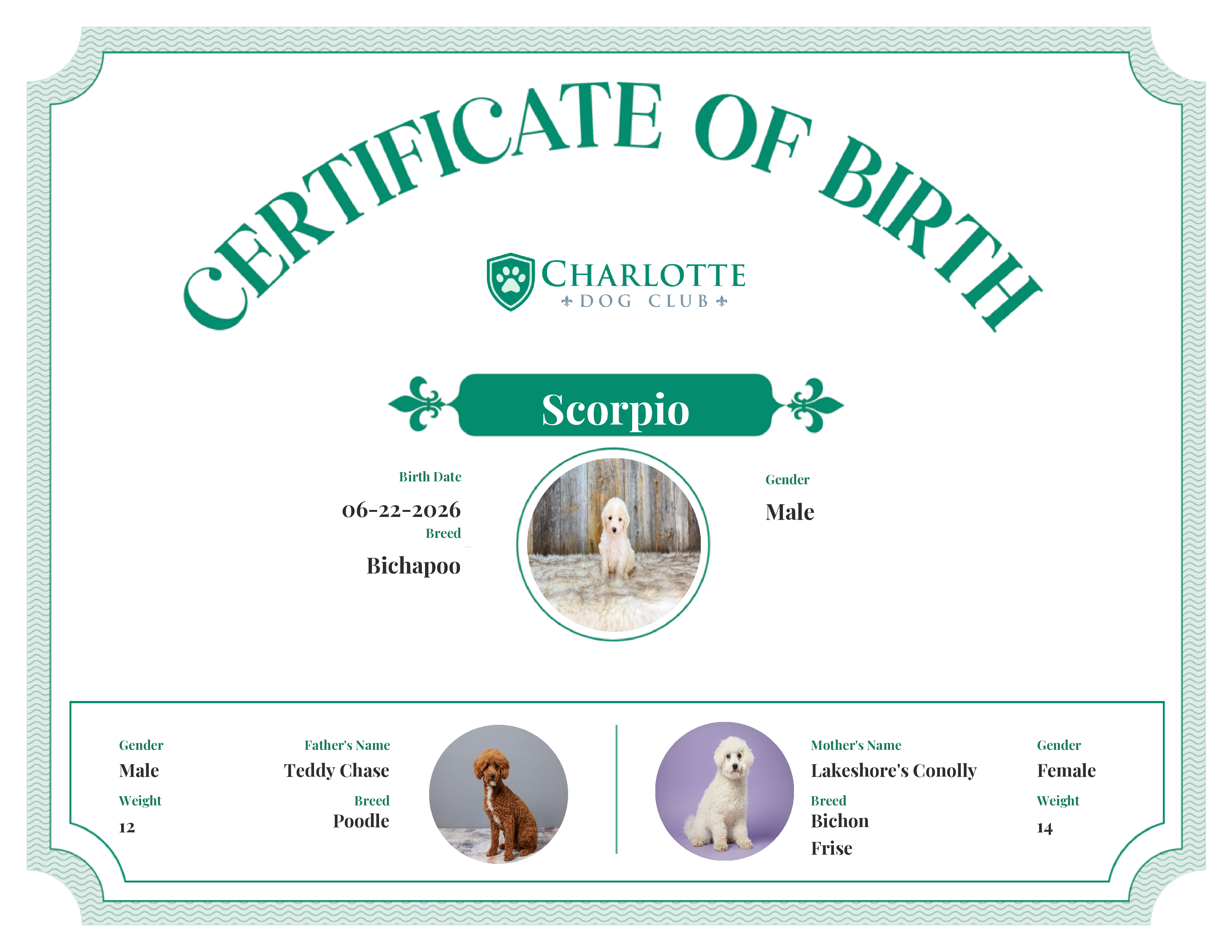 Scorpio's Birth Certificate