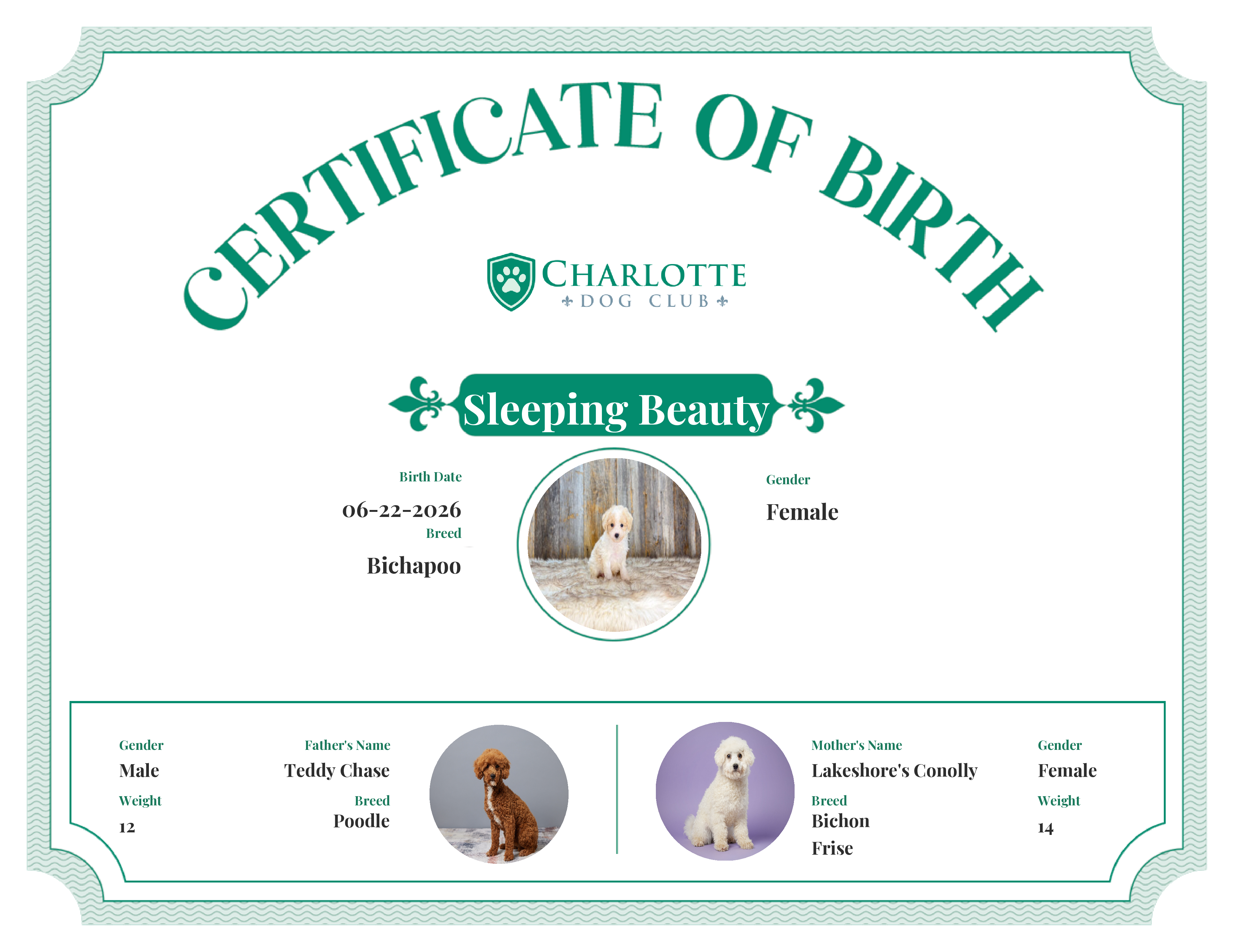 Sleeping Beauty's Birth Certificate