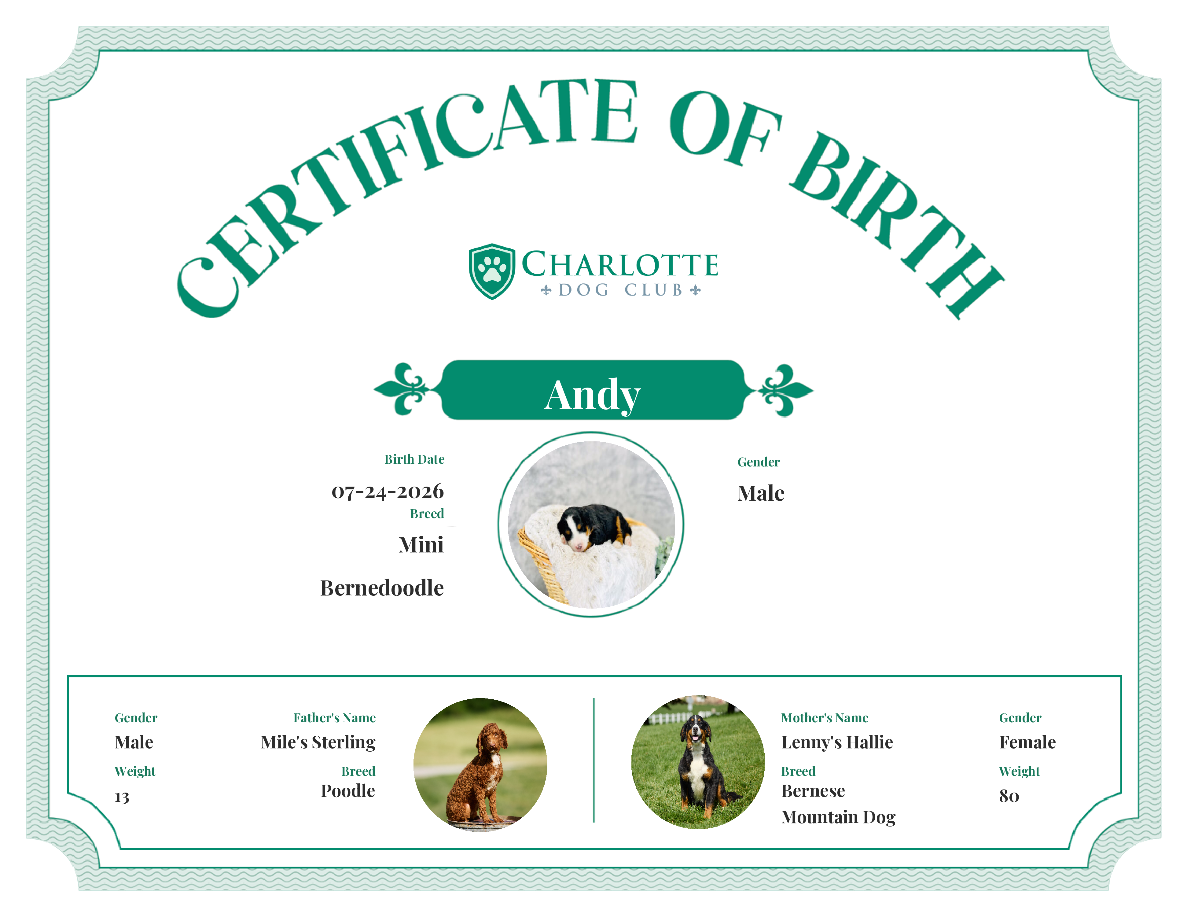 Andy's Birth Certificate