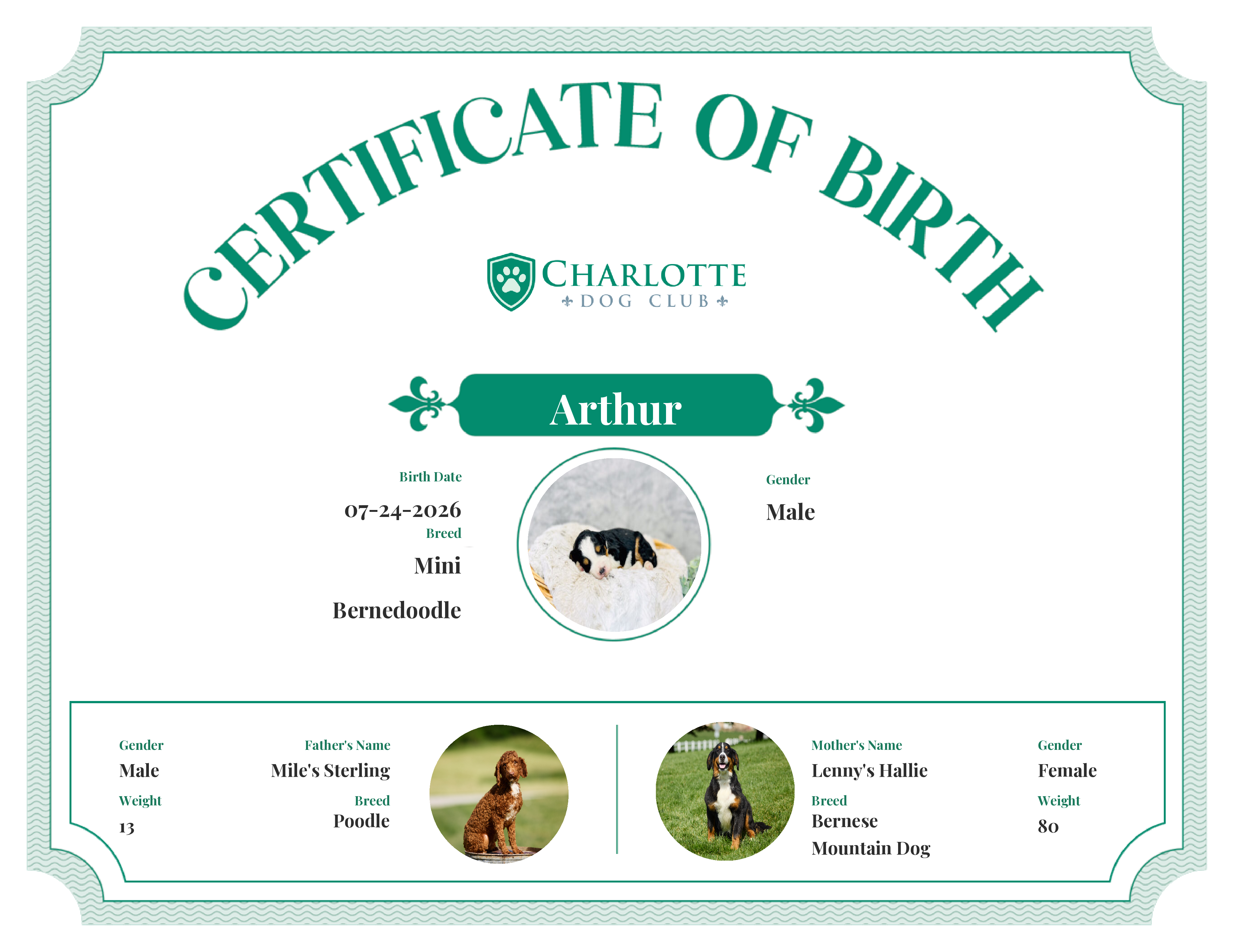 Arthur's Birth Certificate