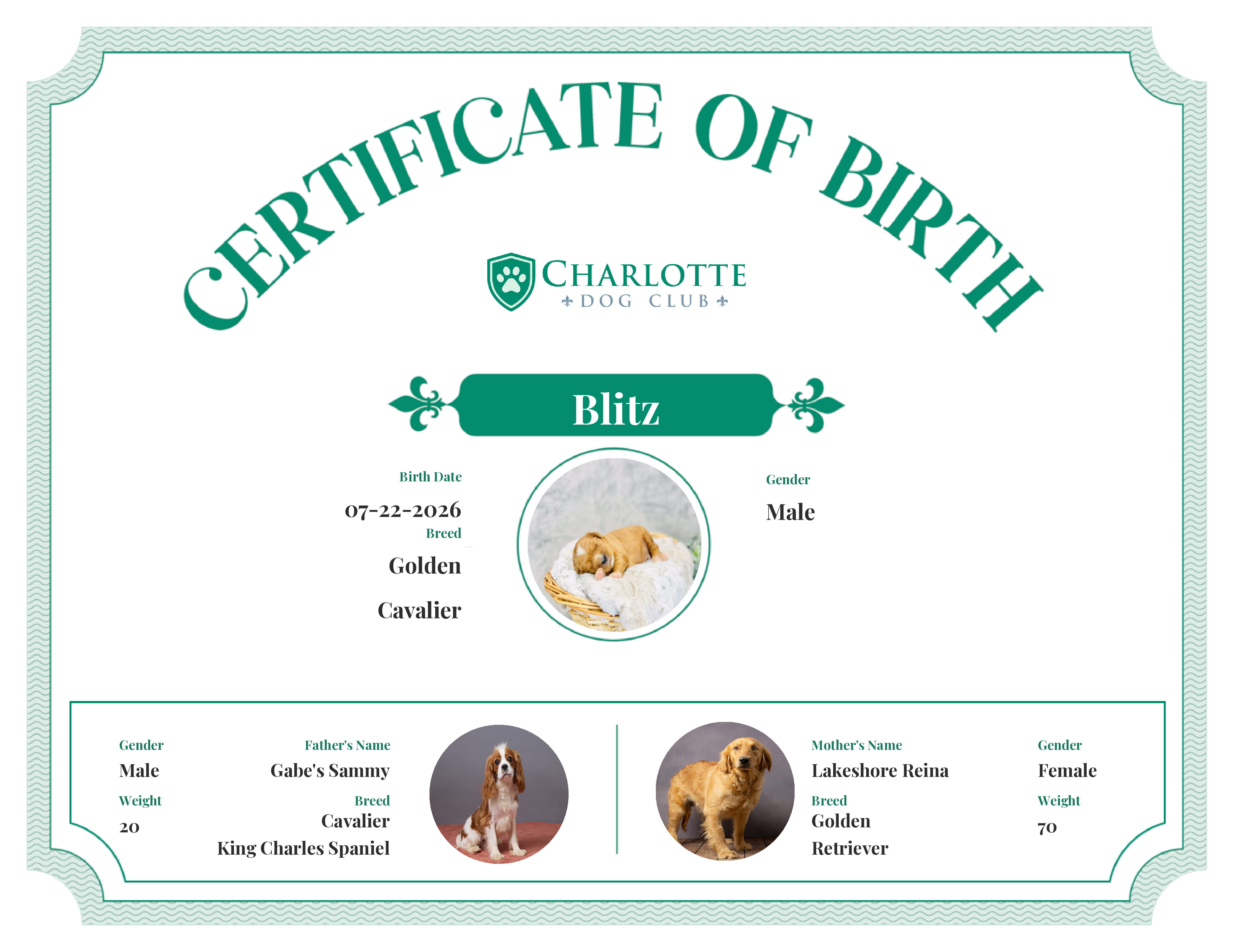 Blitz's Birth Certificate