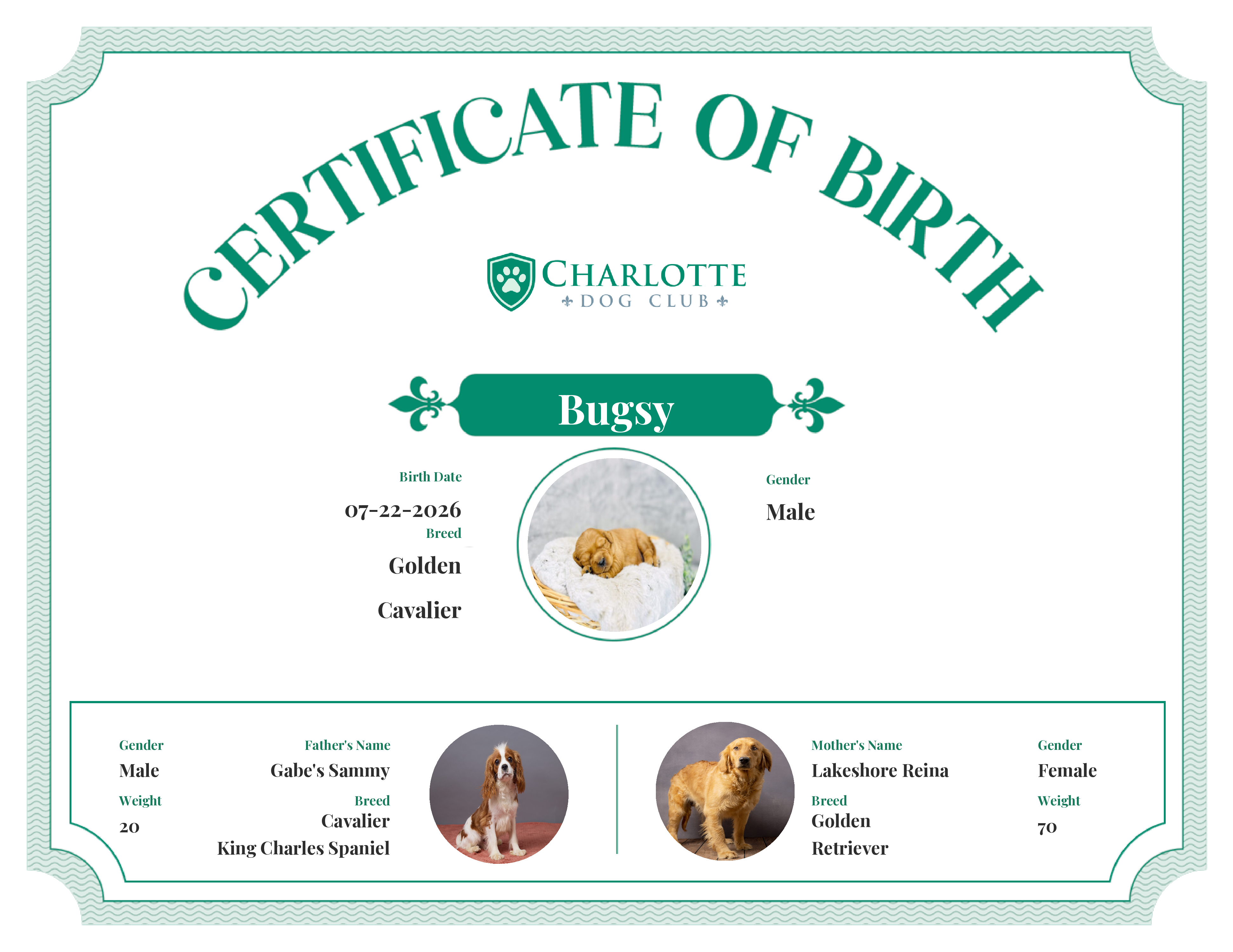 Bugsy's Birth Certificate