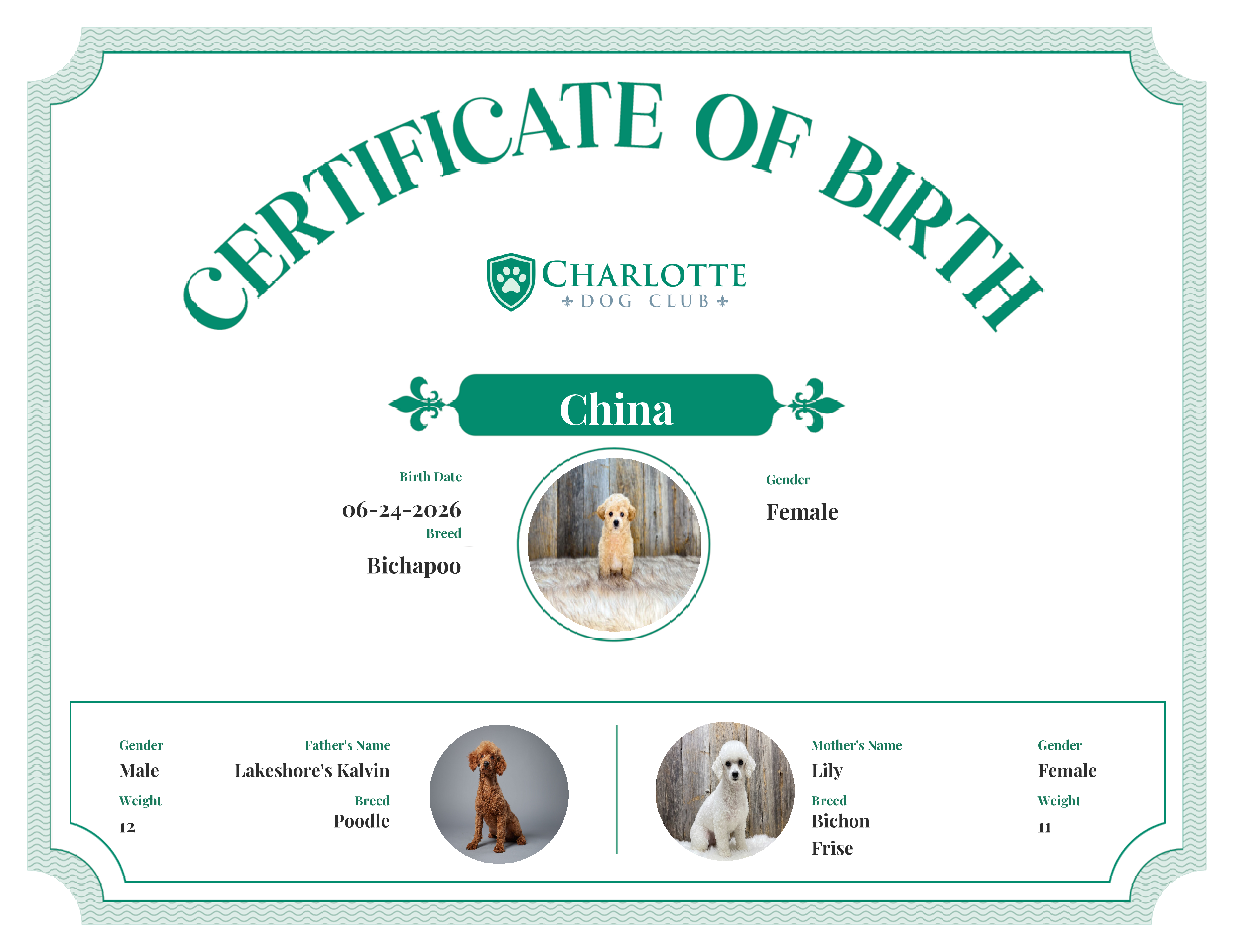 China's Birth Certificate