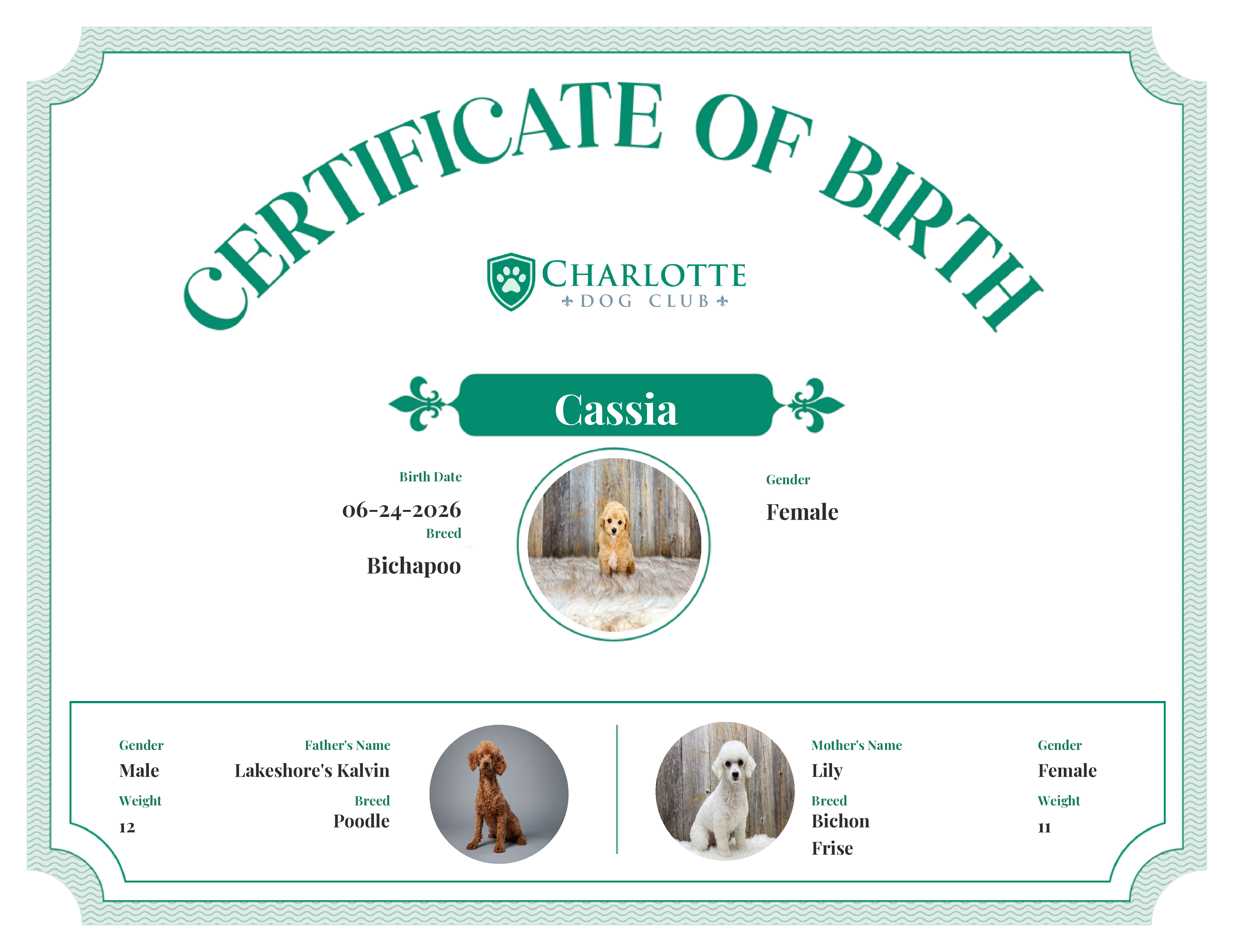 Cassia's Birth Certificate