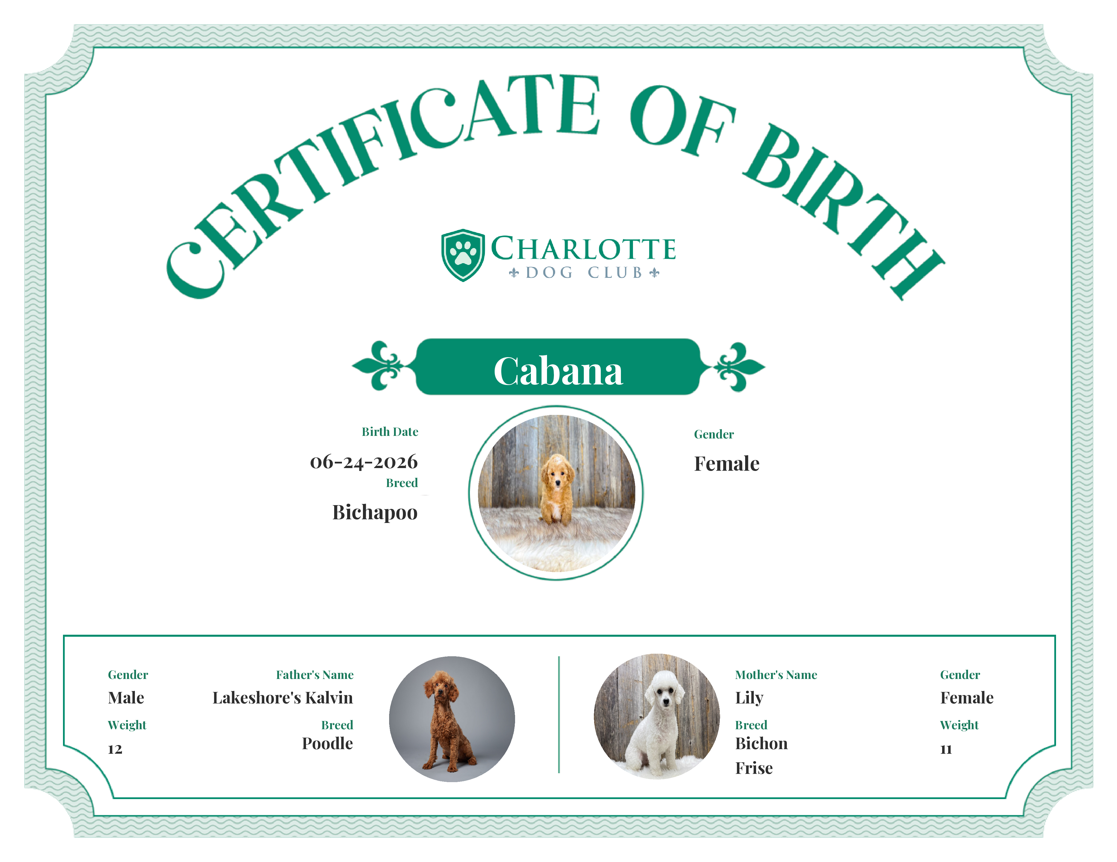 Cabana's Birth Certificate